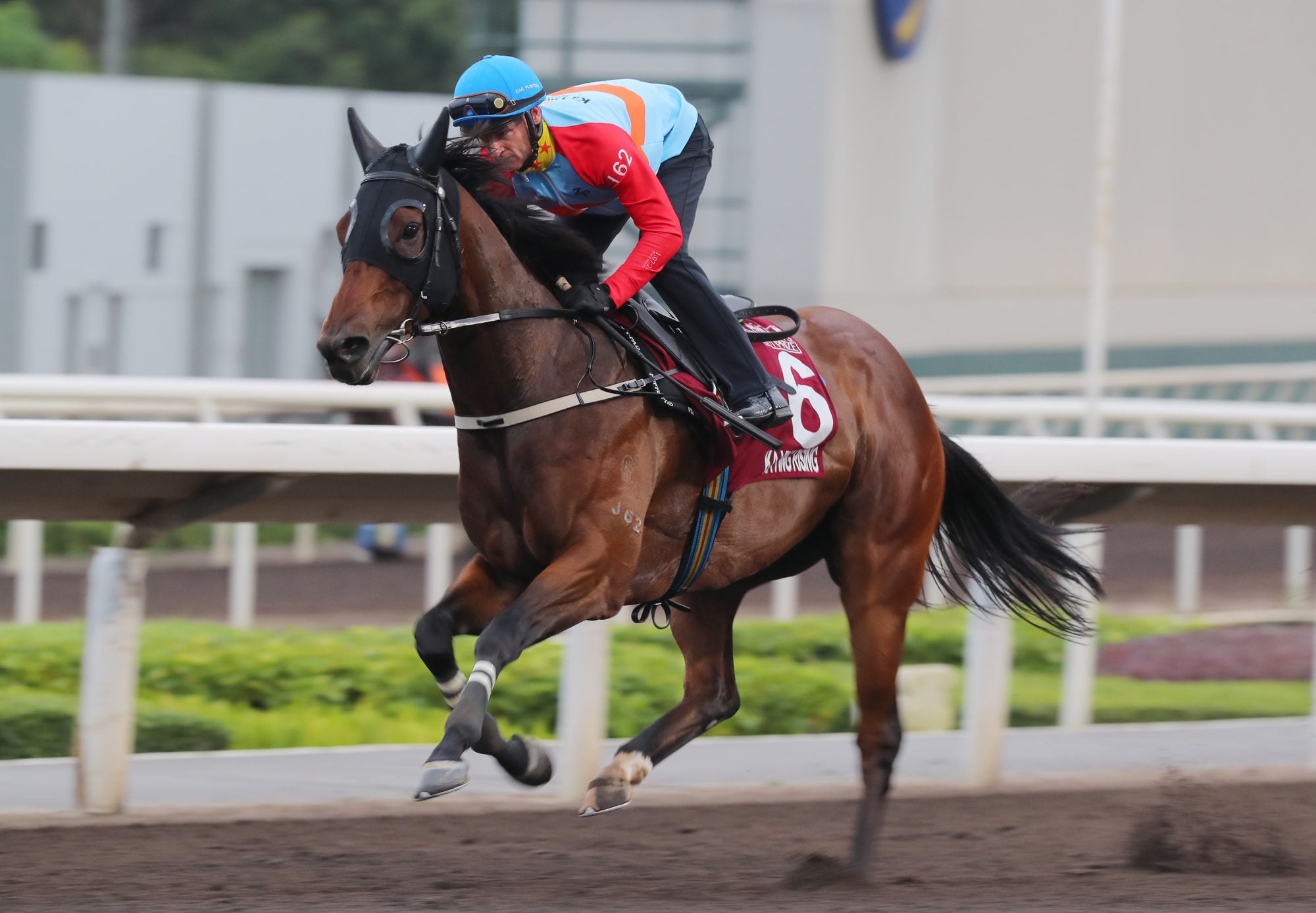 Ka Ying Rising gallops on the dirt on Tuesday morning.