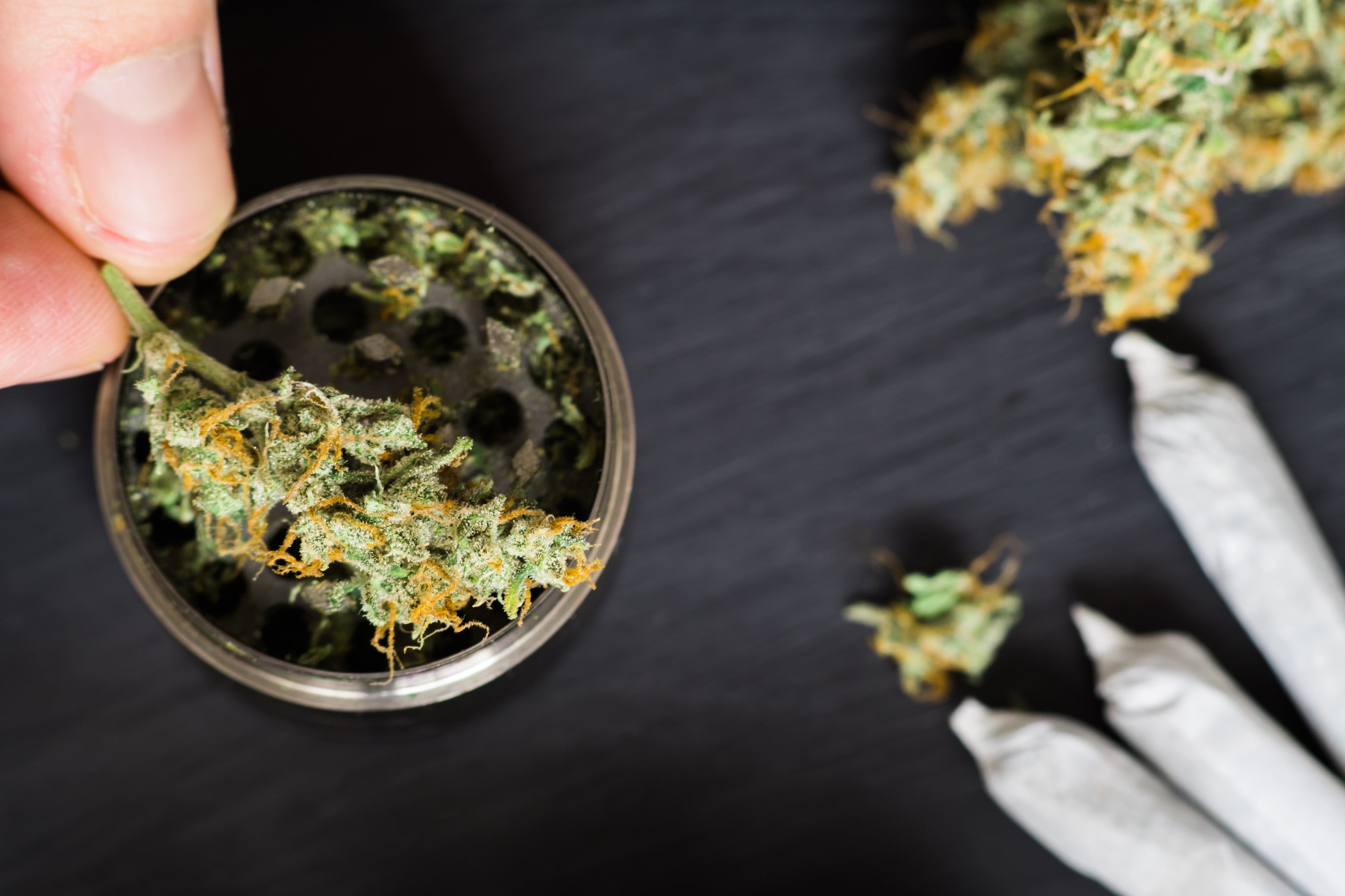 The regulation of medical marijuana has come a long way in the US since California became the first state to adopt it in 1996. Photo: TNS