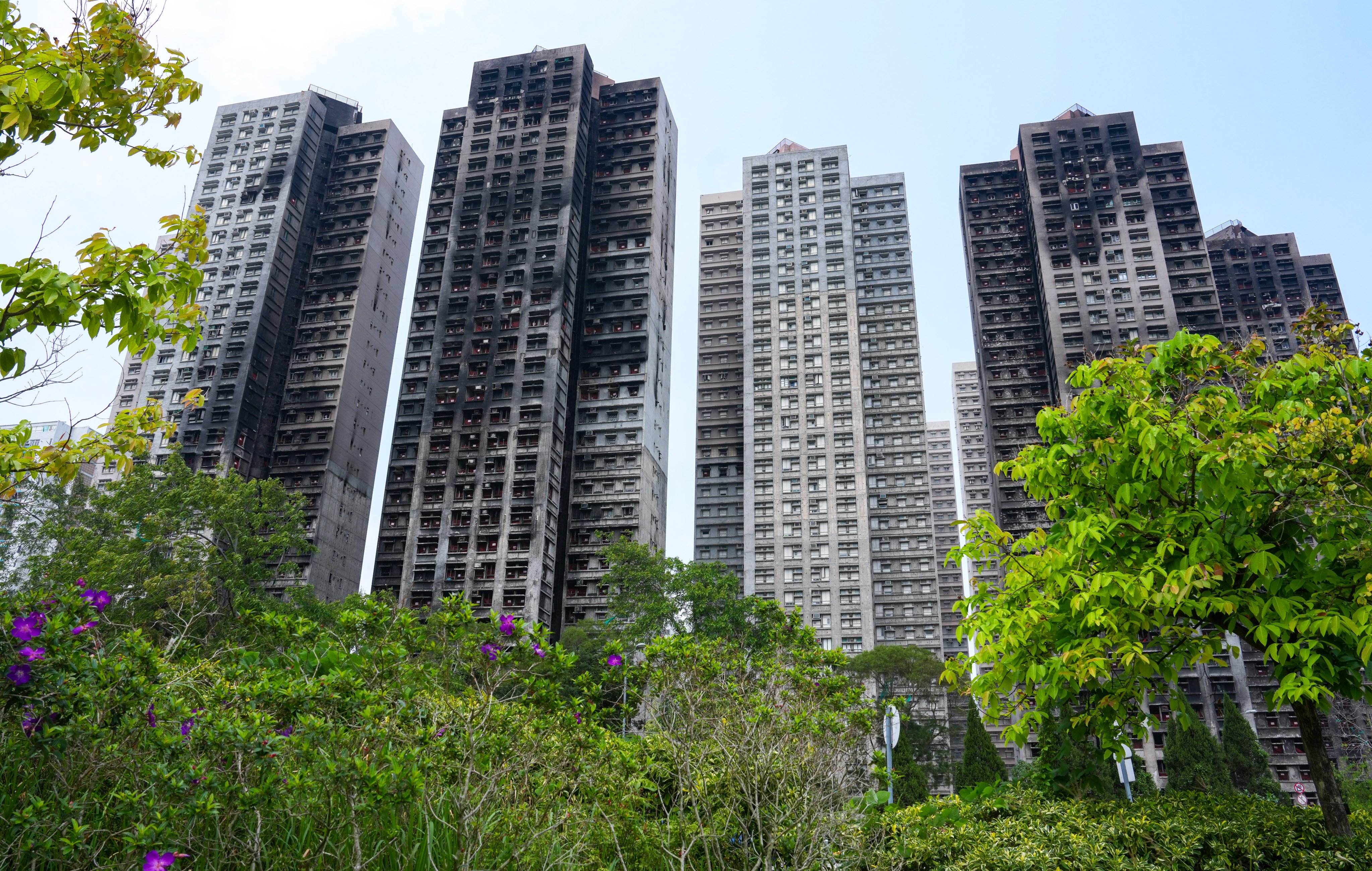 Wang Fuk Court in Tai Po. Photo: Jelly Tse