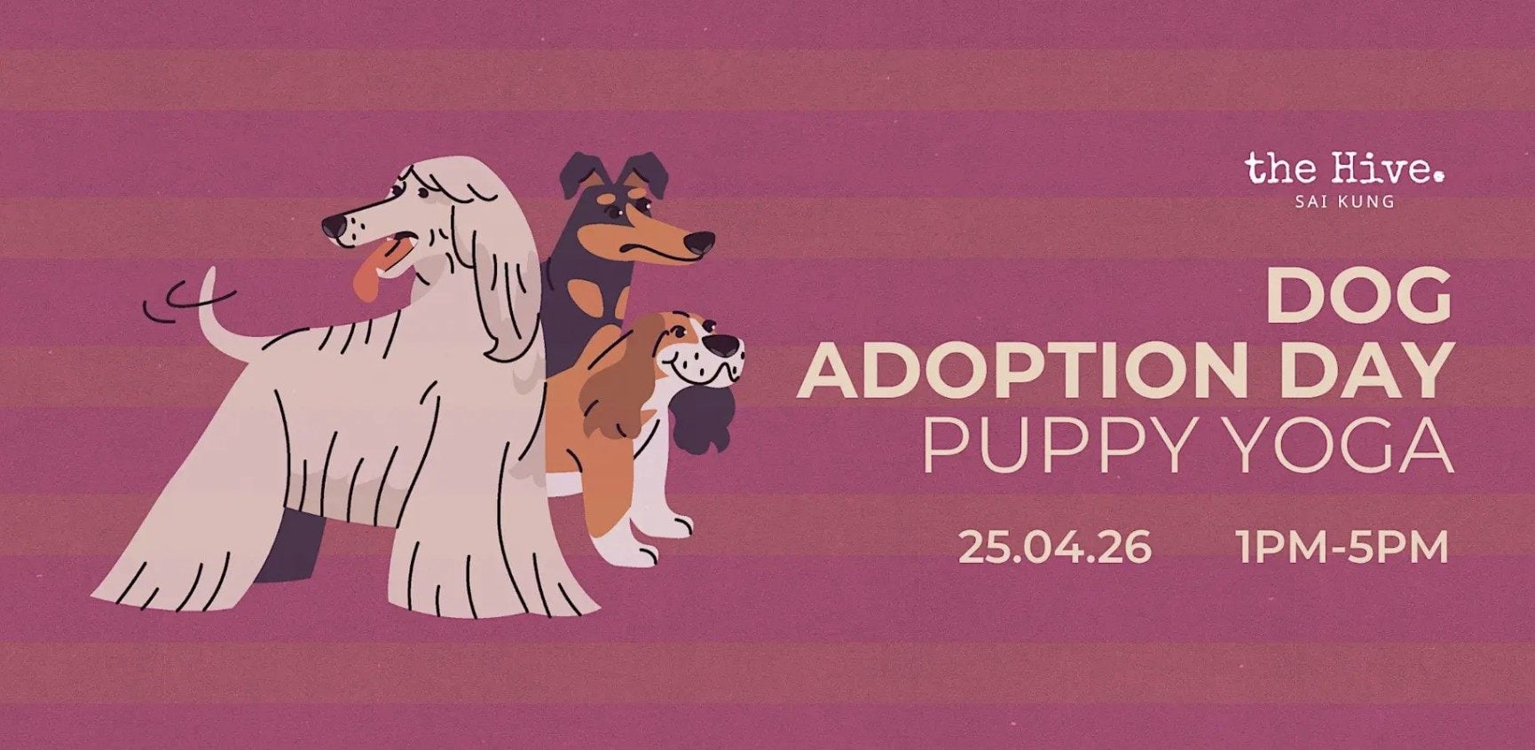 The Hive, in collaboration with Stray Friends Sai Kung, will host a dog adoption day and puppy yoga on April 25, 2026. Photo: the Hive Sai Kung/eventbrite