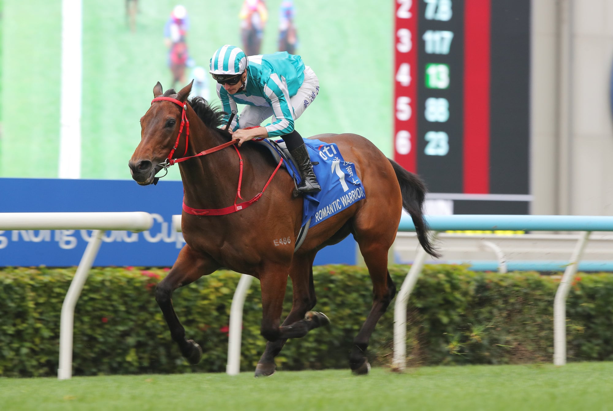 Romantic Warrior vies for a record-extending fourth QEII Cup.