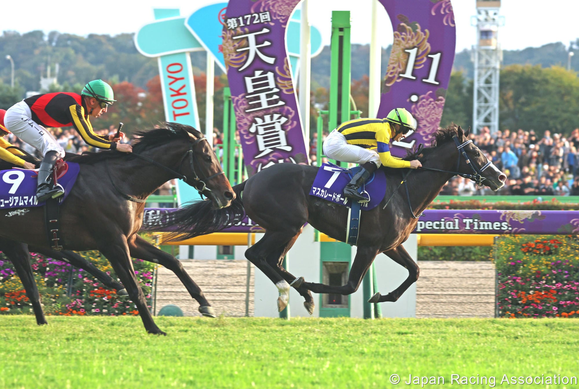 Masquerade Ball wins the Group One Tenno Sho.