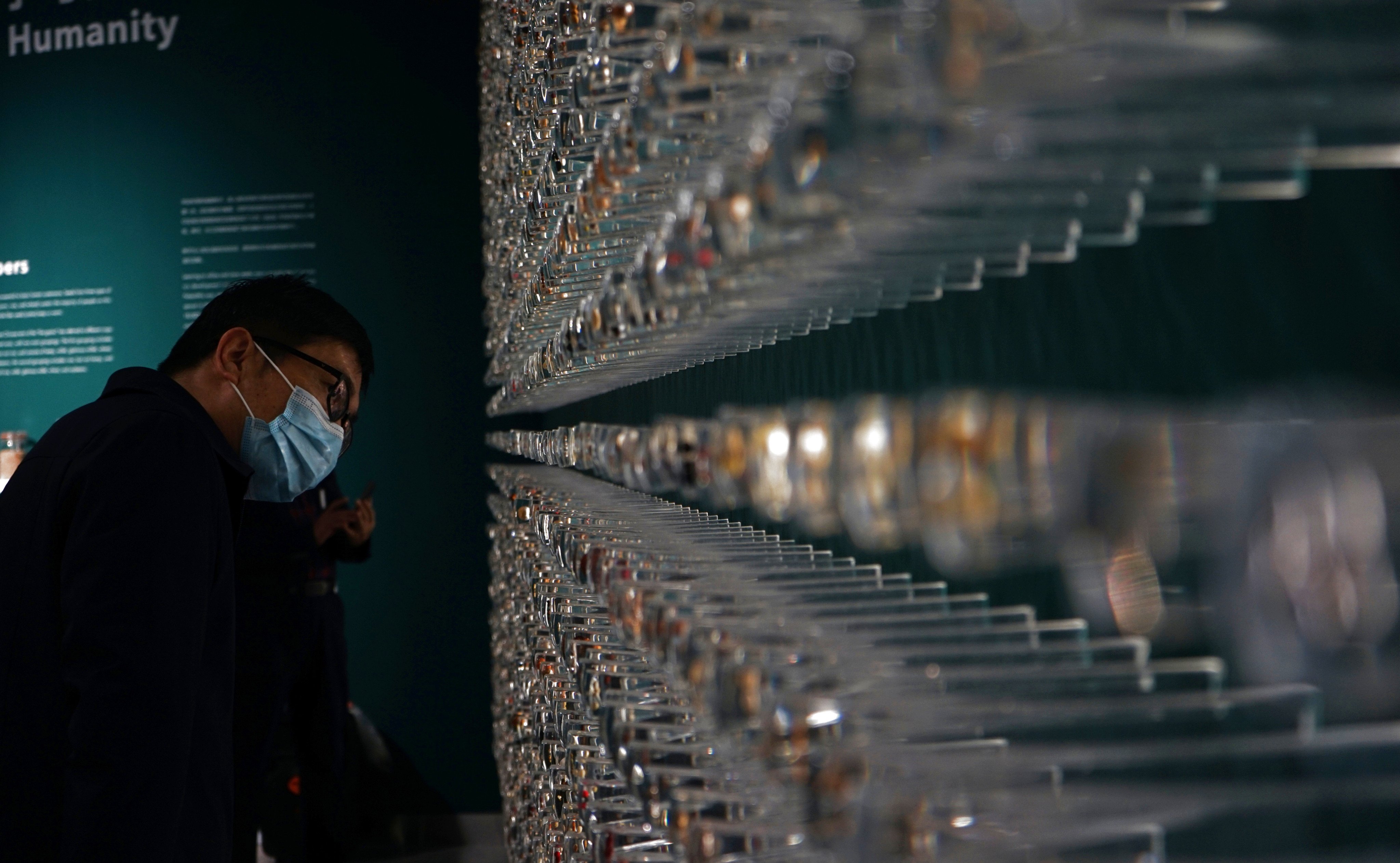 Different types of seeds on display in the botanical garden at Kunming in southwest China’s Yunnan Province. Photo: Xinhua