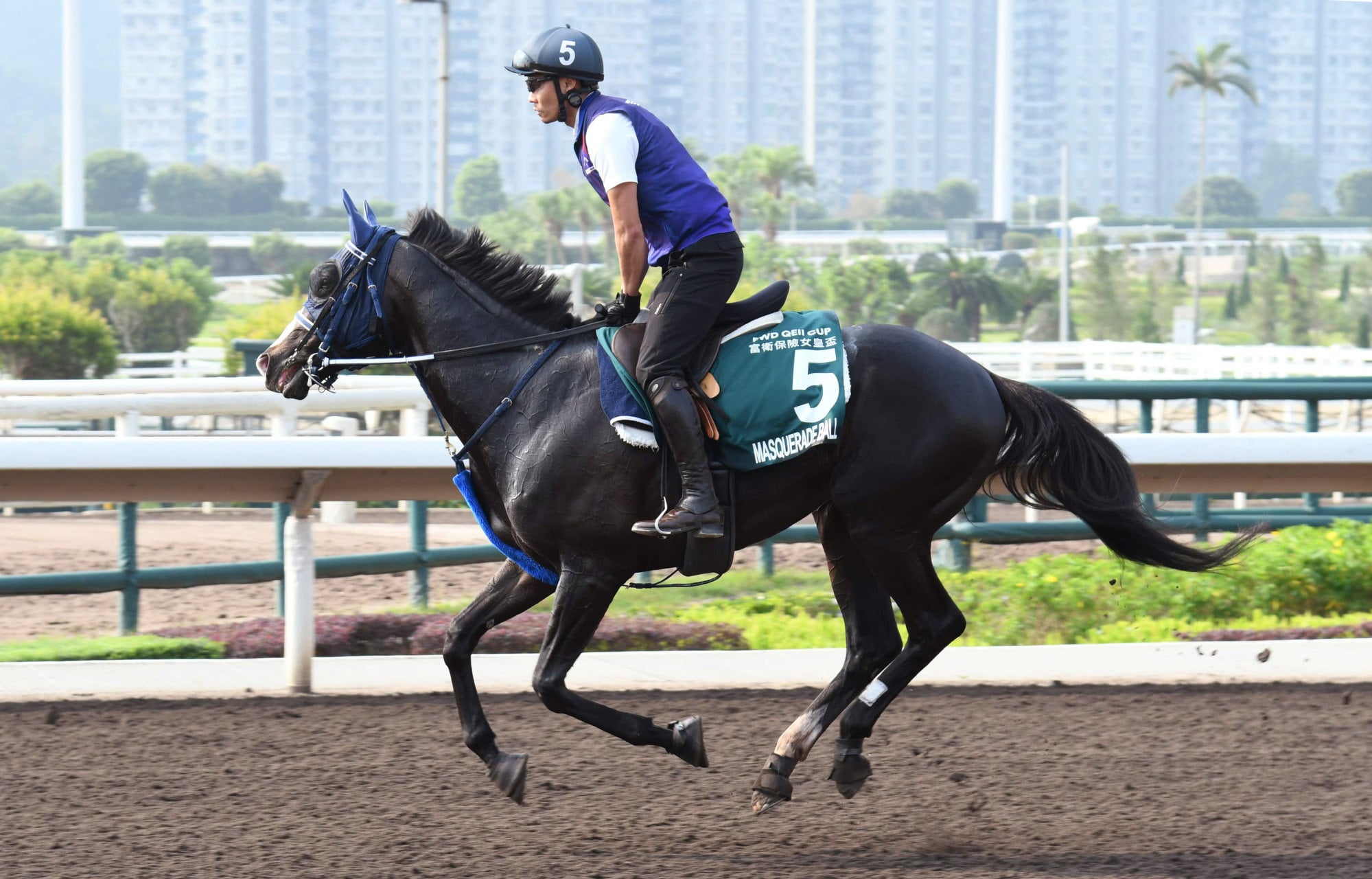Masquerade Ball goes through his paces on the all-weather track at Sha Tin.