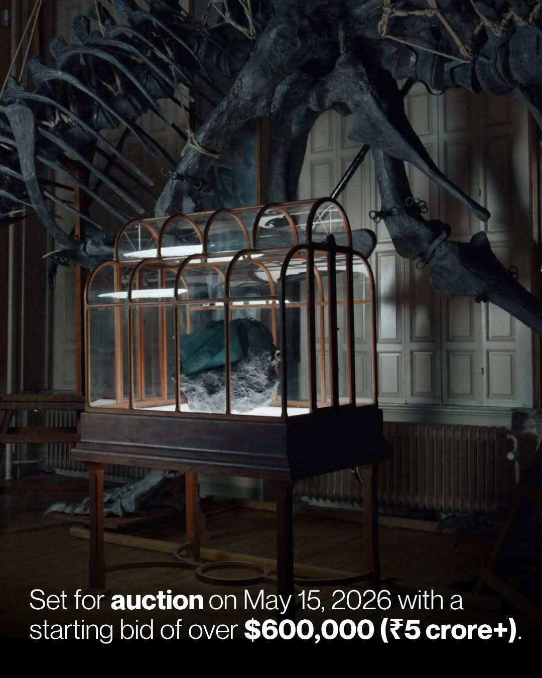 A new “T. rex” leather handbag was crafted from lab-grown collagen sourced for dinosaur bones. Photo: Instagram/luxuriousbymm