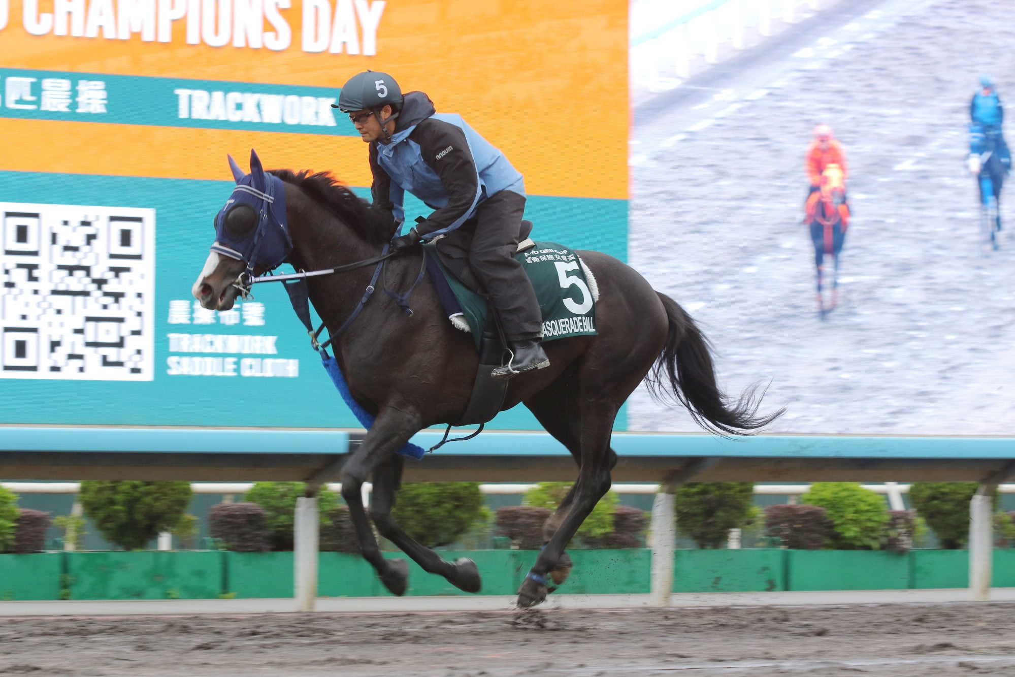Masquerade Ball gallops at Sha Tin.