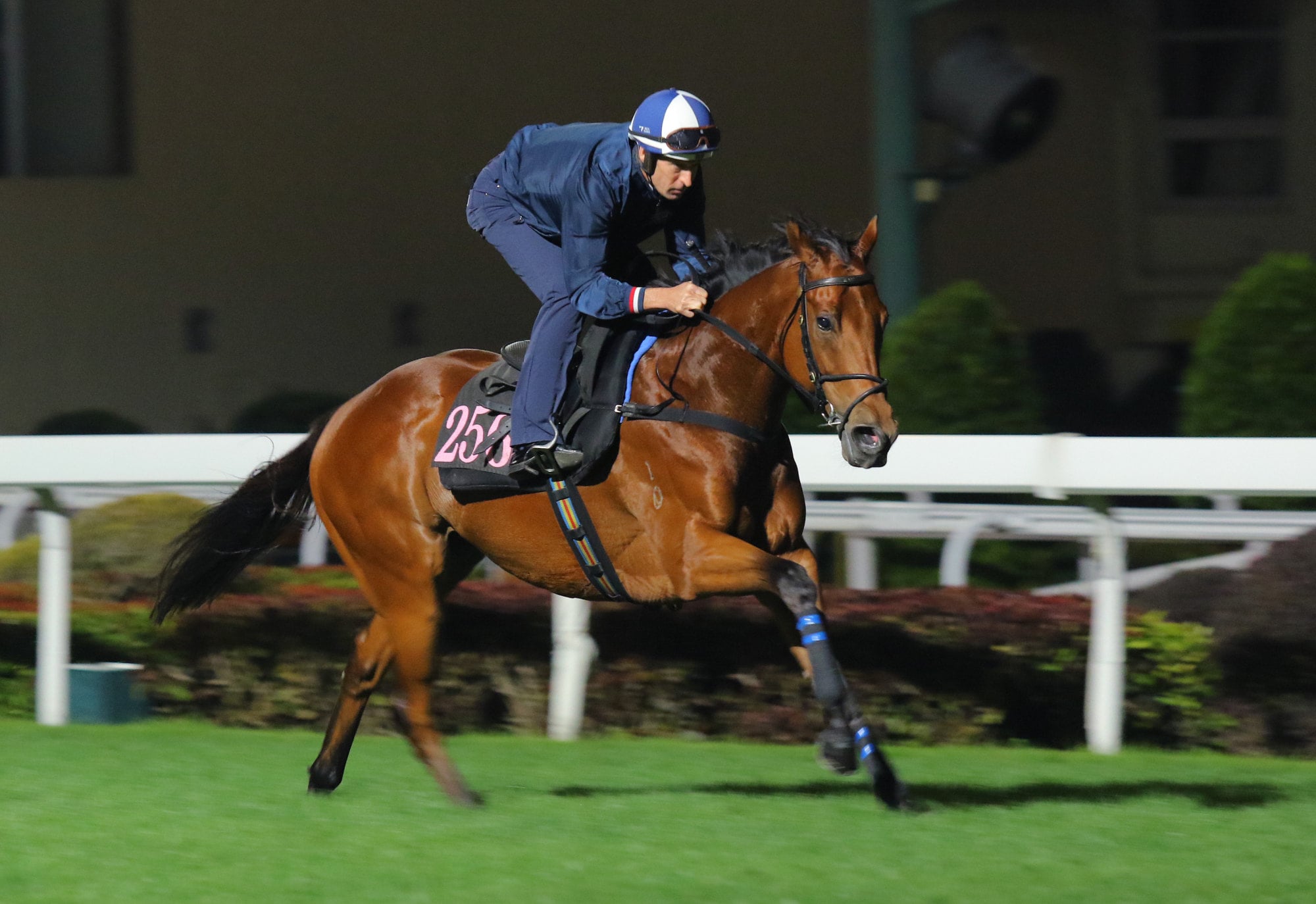 Hugh Bowman puts My Wish through his paces in a gallop.