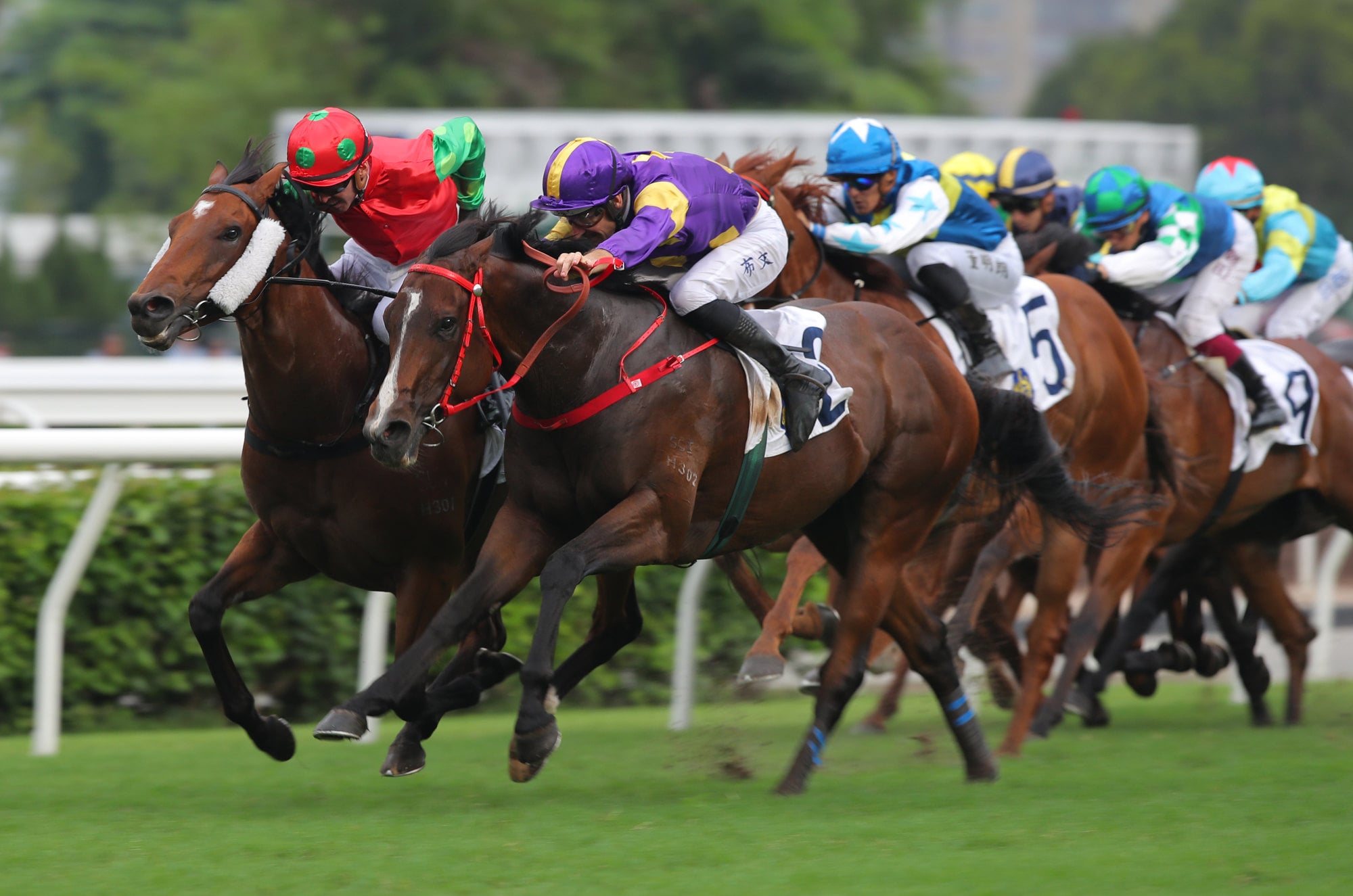 Helios Express wins last season’s Group Three Sha Tin Vase.