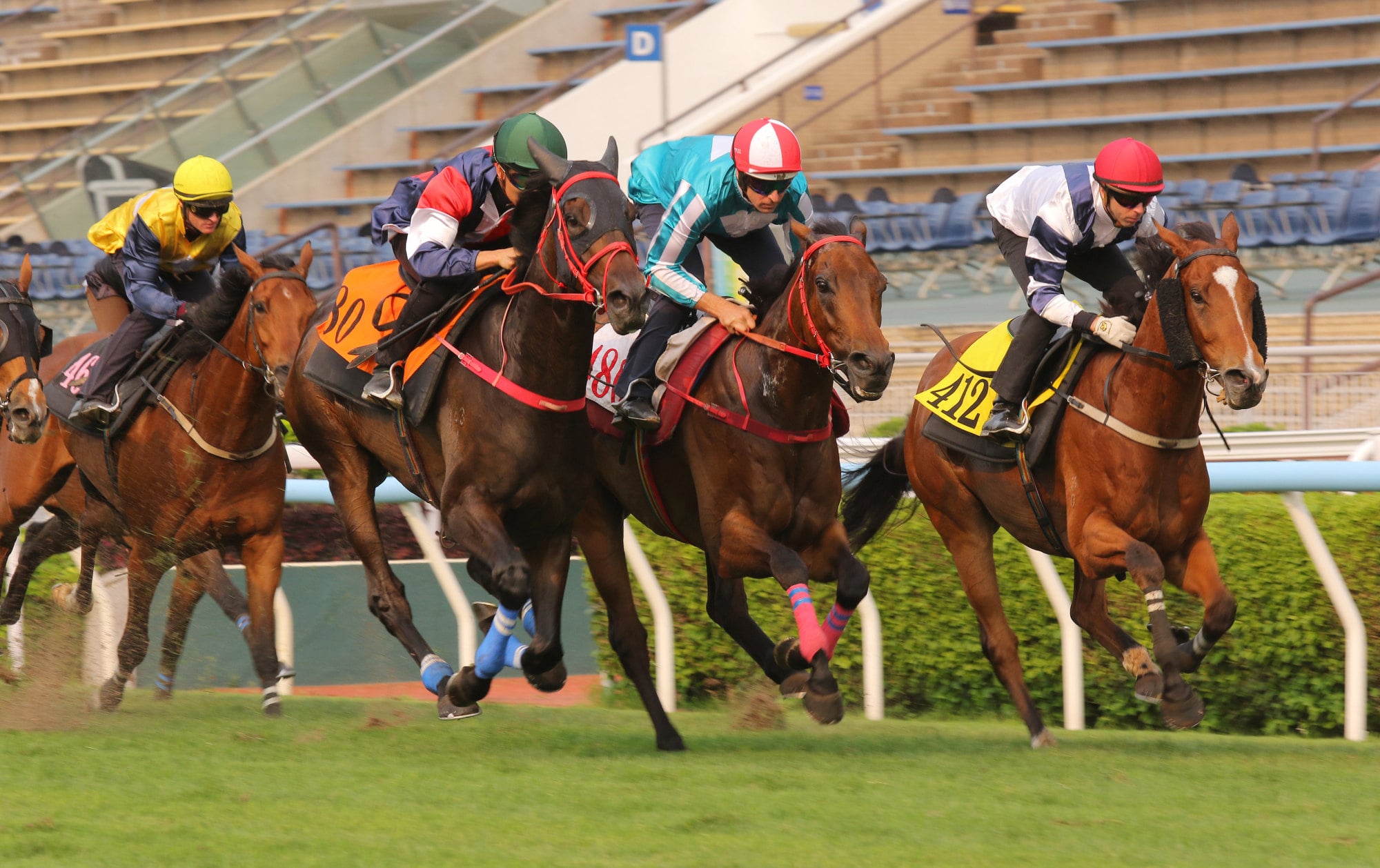 Numbers (left) trials with Romantic Warrior (middle) and Rubylot (right) at Sha Tin this month.