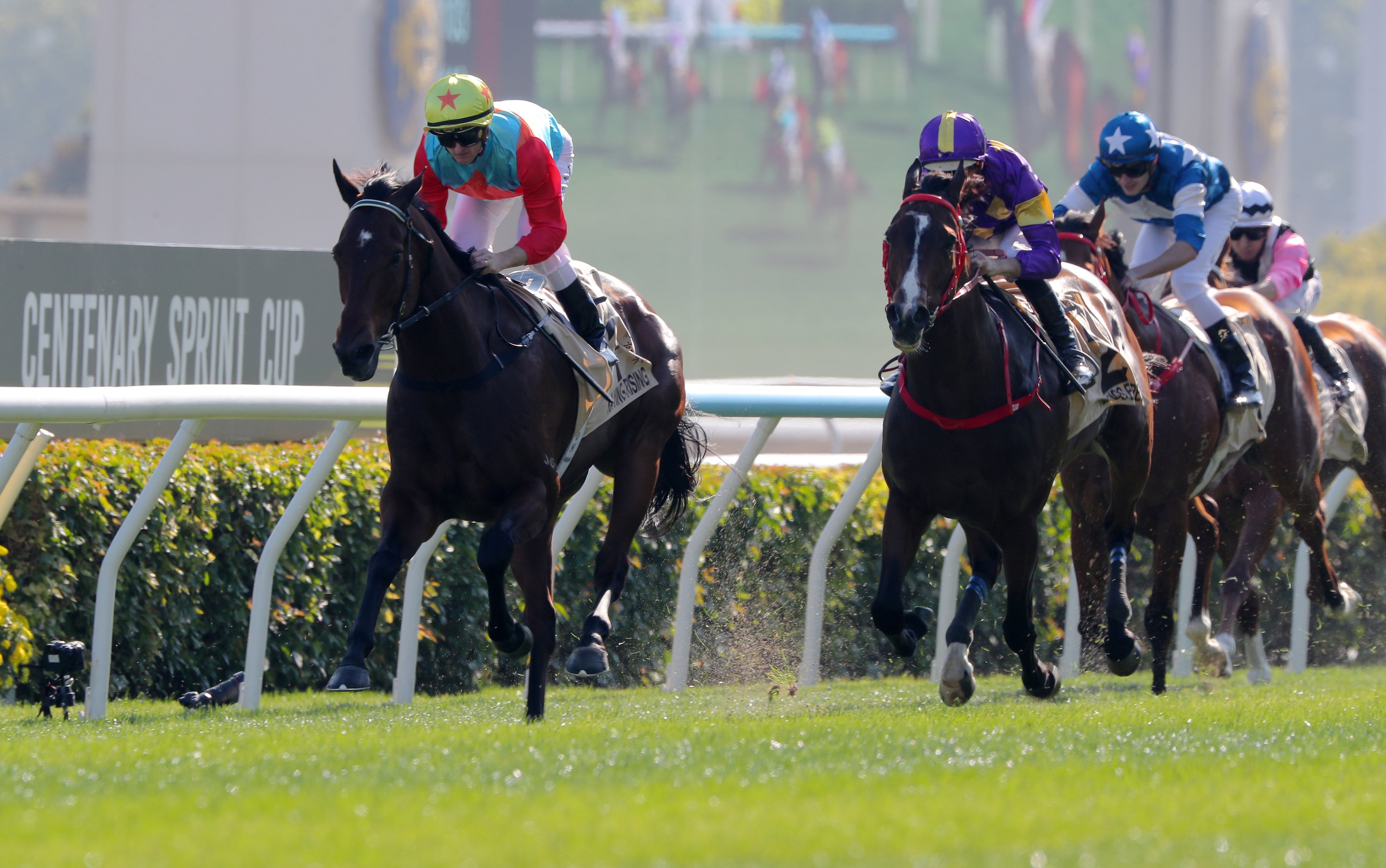 Helios Express (right) gives chase to Ka Ying Rising in the Centenary Sprint Cup. Photos: Kenneth Chan