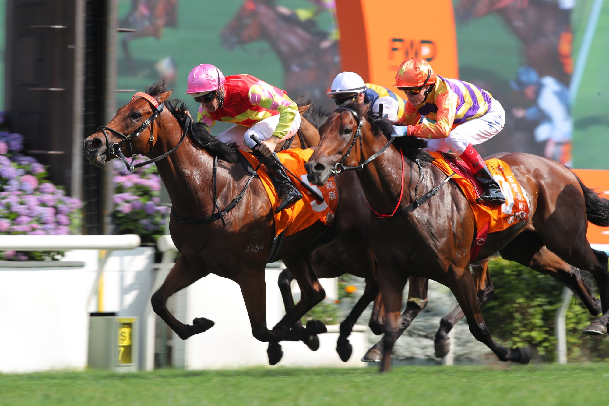 My Wish, ridden by Hugh Bowman, closes the Champions Mile at Sha Tin. Photo: Kenneth Chan