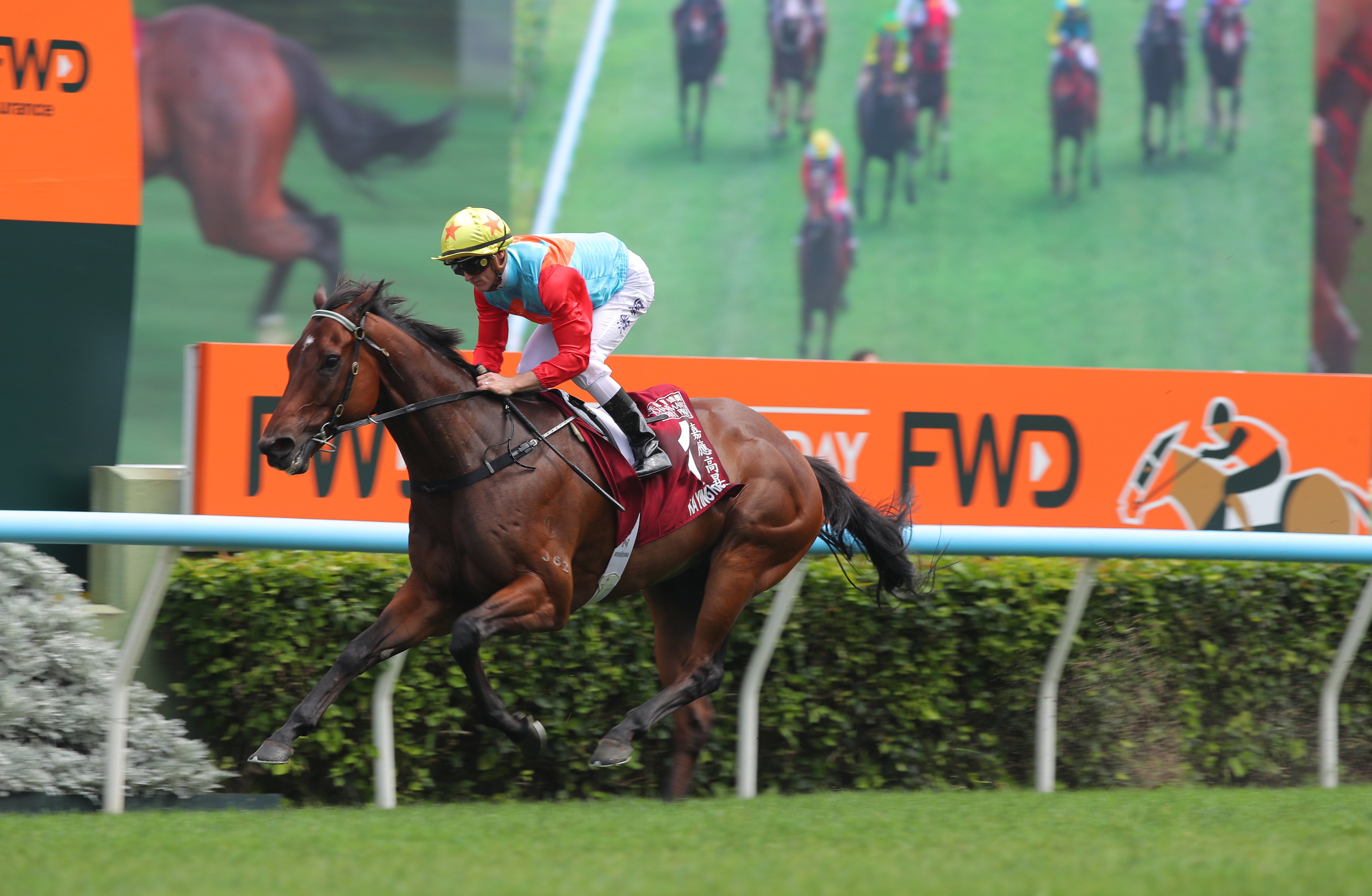 Ka Ying Rising easily won the Group One Chairman’s Sprint Prize on Champions Day at Sha Tin. Photo: Kenneth Chan.