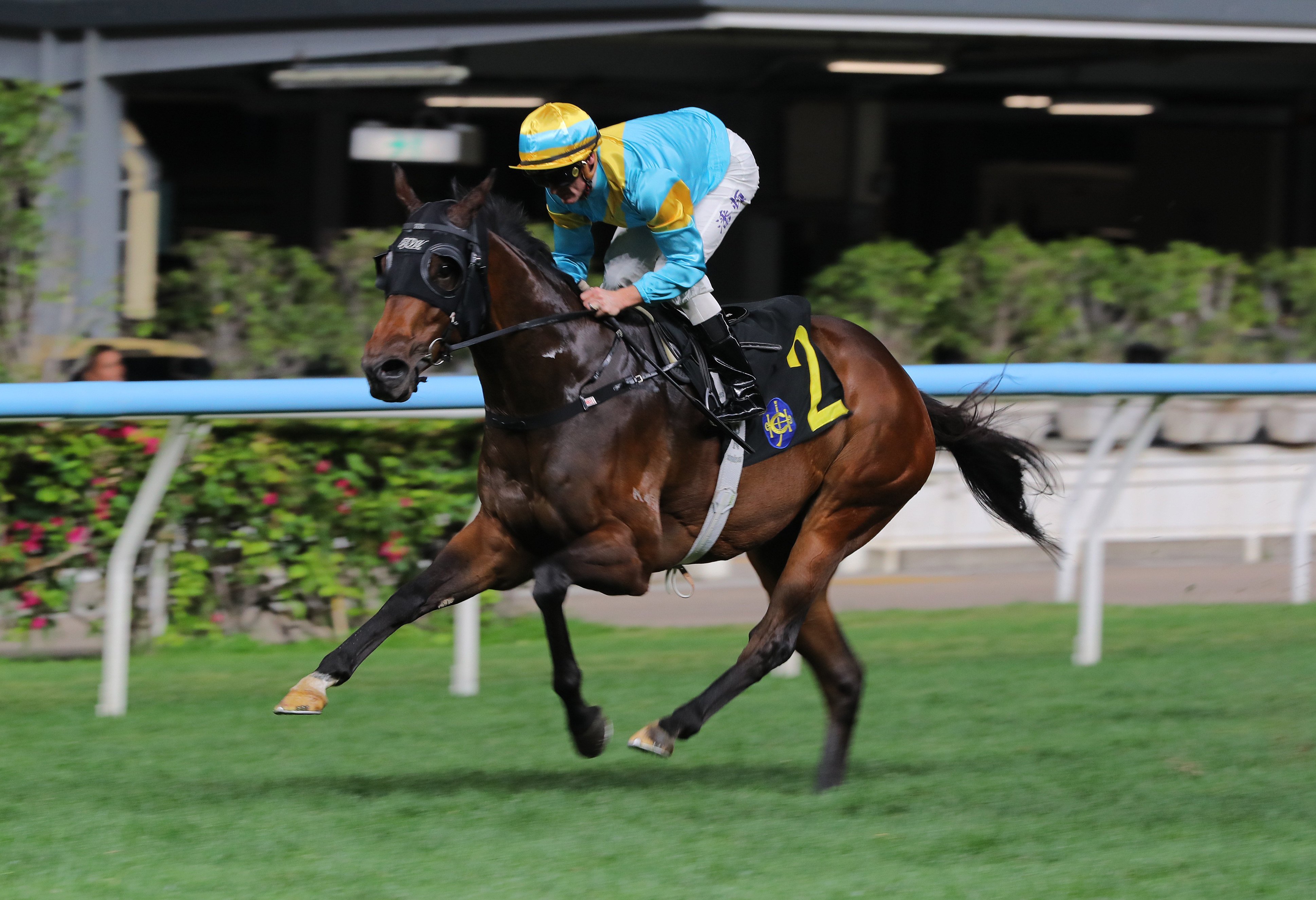 Giant Ballon, ridden by Zac Purton, goes back-to-back at Happy Valley. Photos: Kenneth Chan.