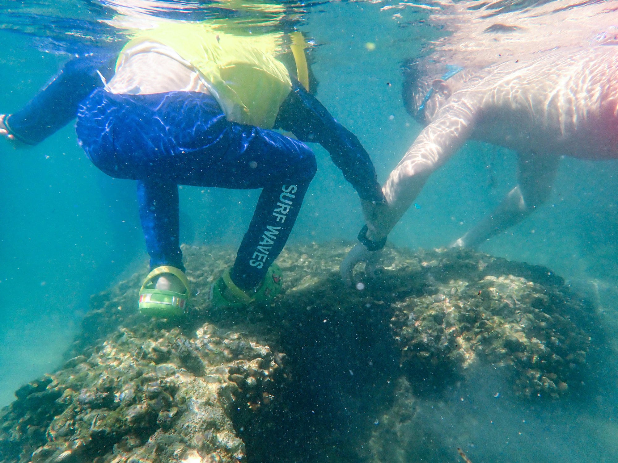 Greenpeace earlier said tourists had trampled on corals. Photo: Handout