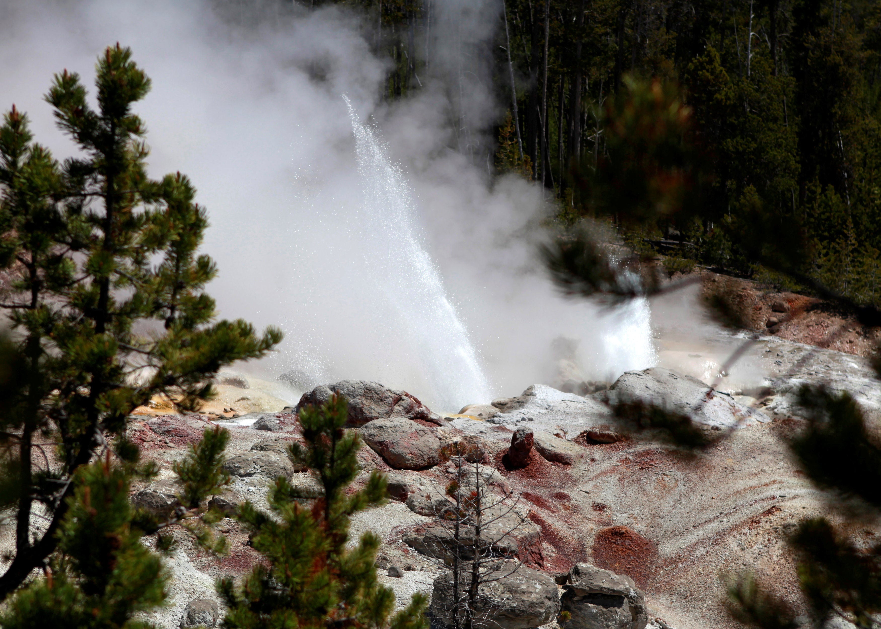 The Steamboat Geyser erupts in Yellowstone National Park in Wyoming. Chinese scientists say Yellowstone’s magma channels were not blasted open by magma forcing its way upward, as long believed. Photo: Reuters