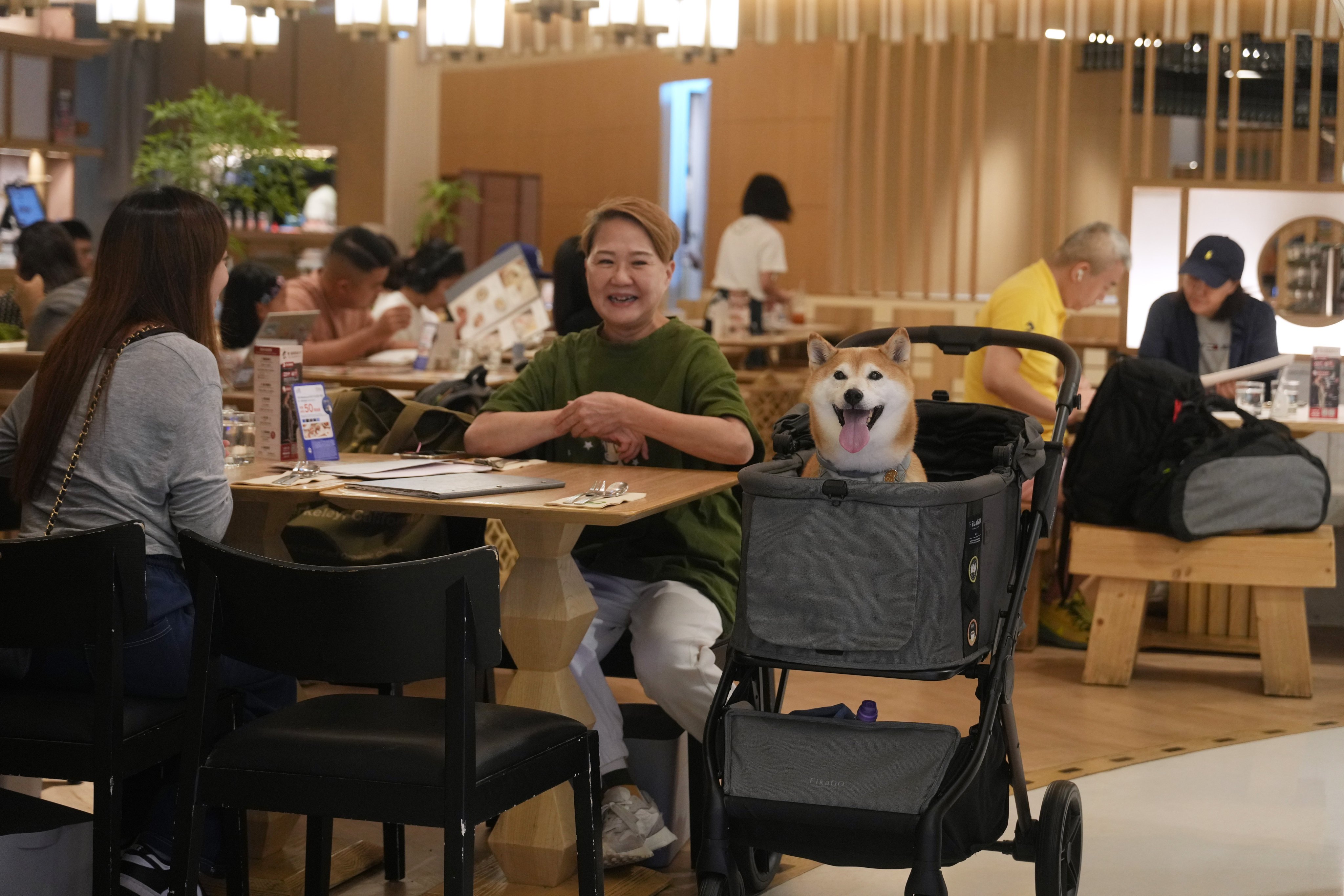 People dine with their pets in a restaurant in New Town Plaza at Sha Tin. Photo: Sam Tsang