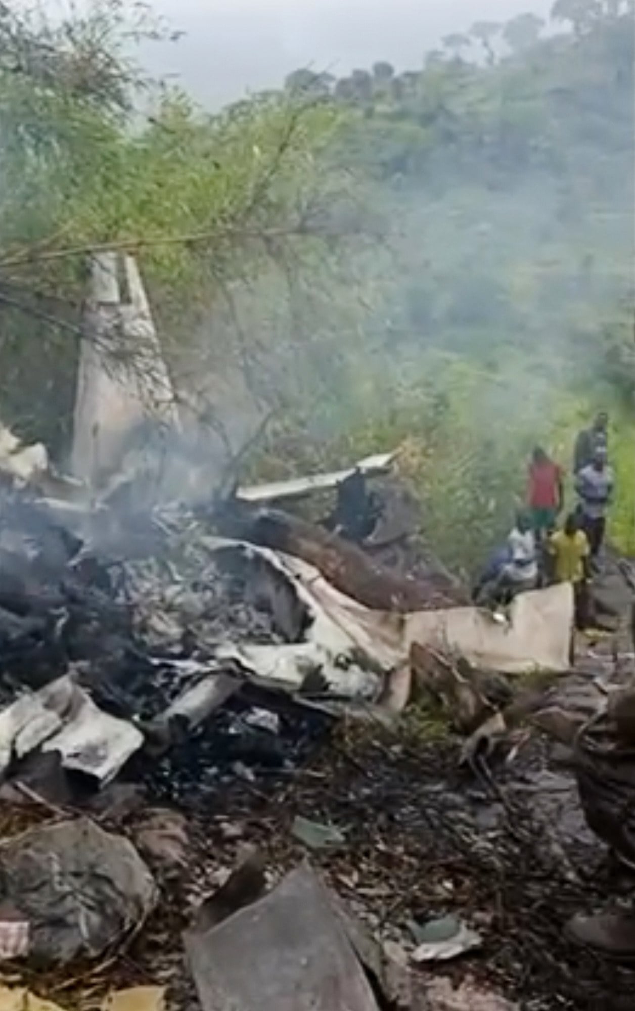 Video image shows the wreckage of a Cessna aircraft after it crashed southwest of Juba, South Sudan on Monday. Photo: AP
