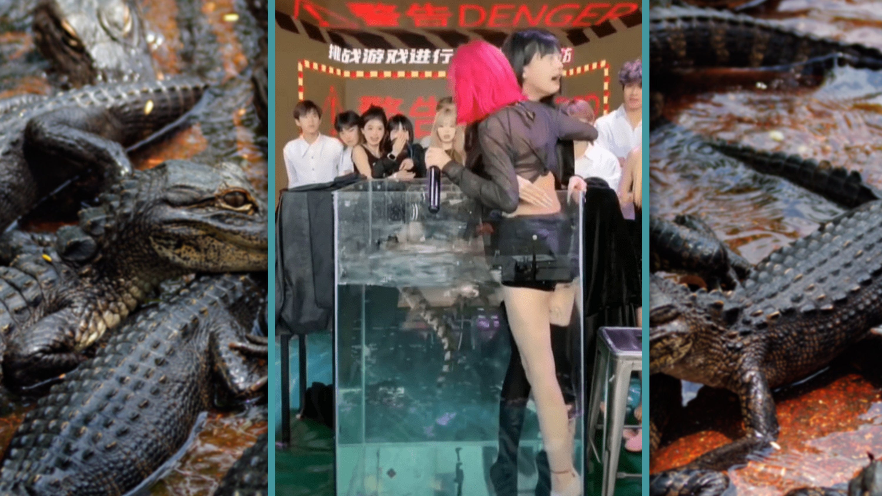 A social media account with over 11 million followers has been banned for forcing female hosts to stay in a tank with a crocodile to capture their fearful reactions. Photo: SCMP composite/Shutterstock/Douyin