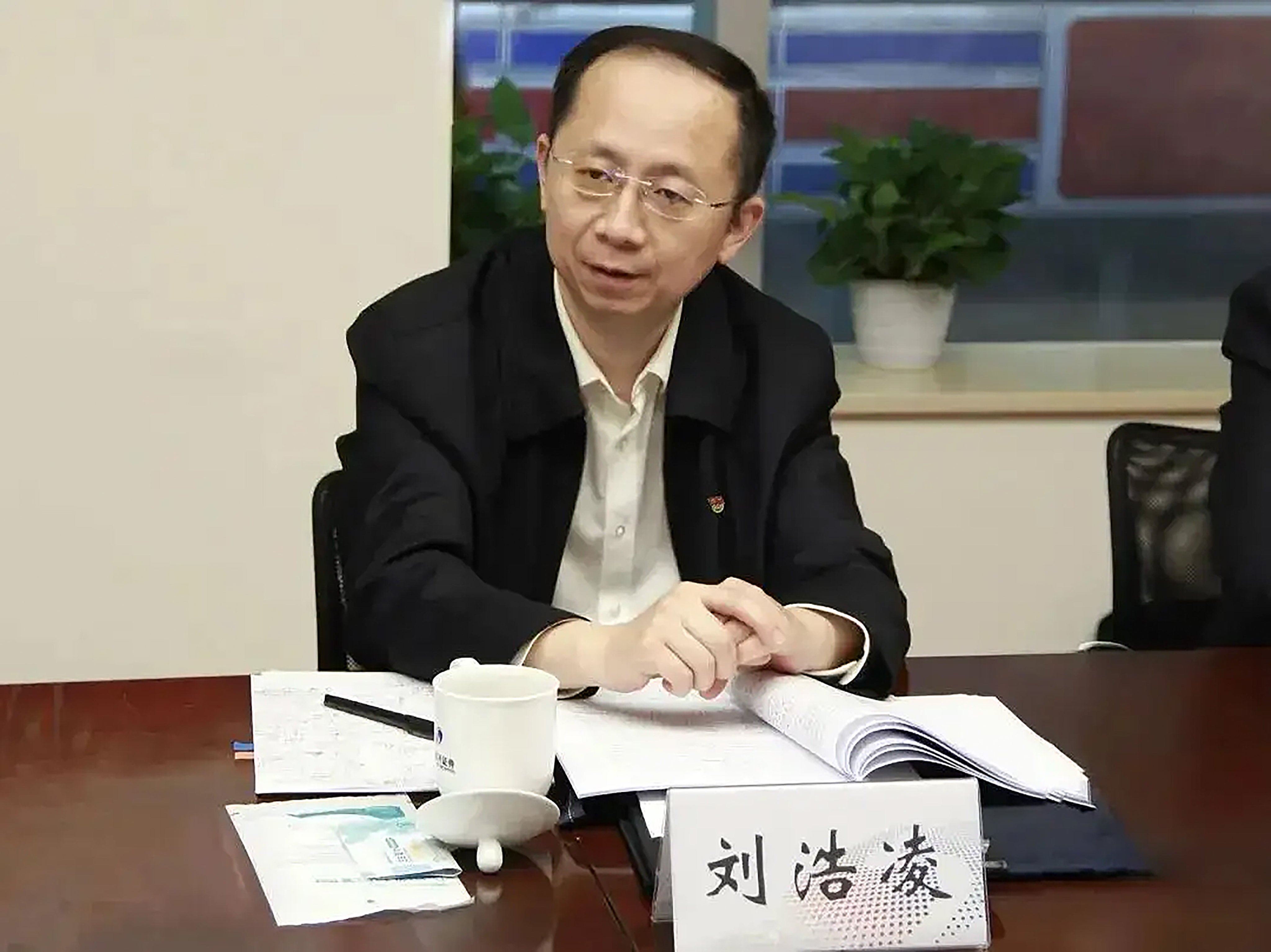 scmp.com - Zhang Shidong - China names Liu Haoling as CSRC deputy amid market stabilisation push