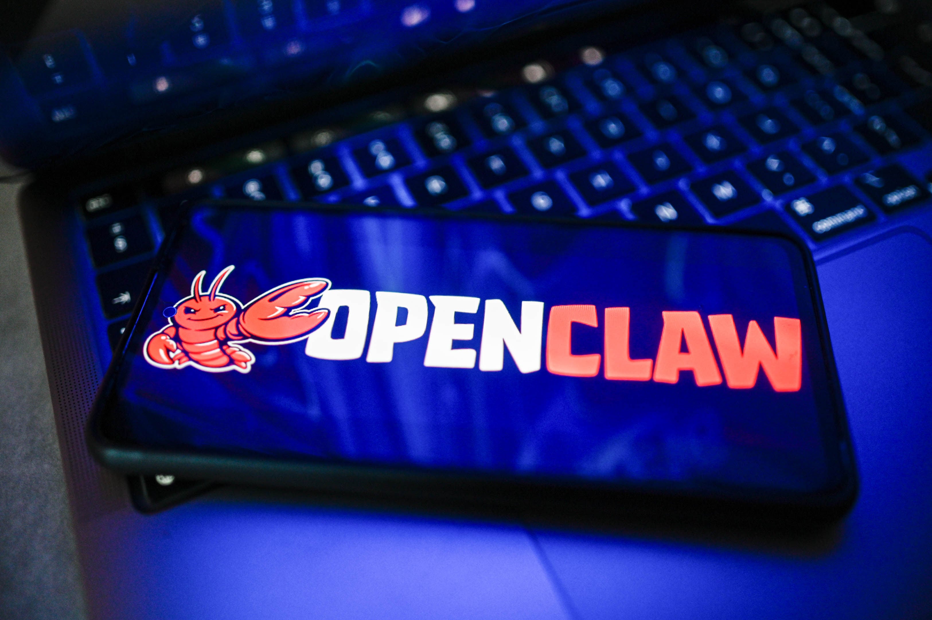 OpenClaw, developed by Austrian programmer Peter Steinberger, was acquired by OpenAI in February this year. Photo: Getty Images