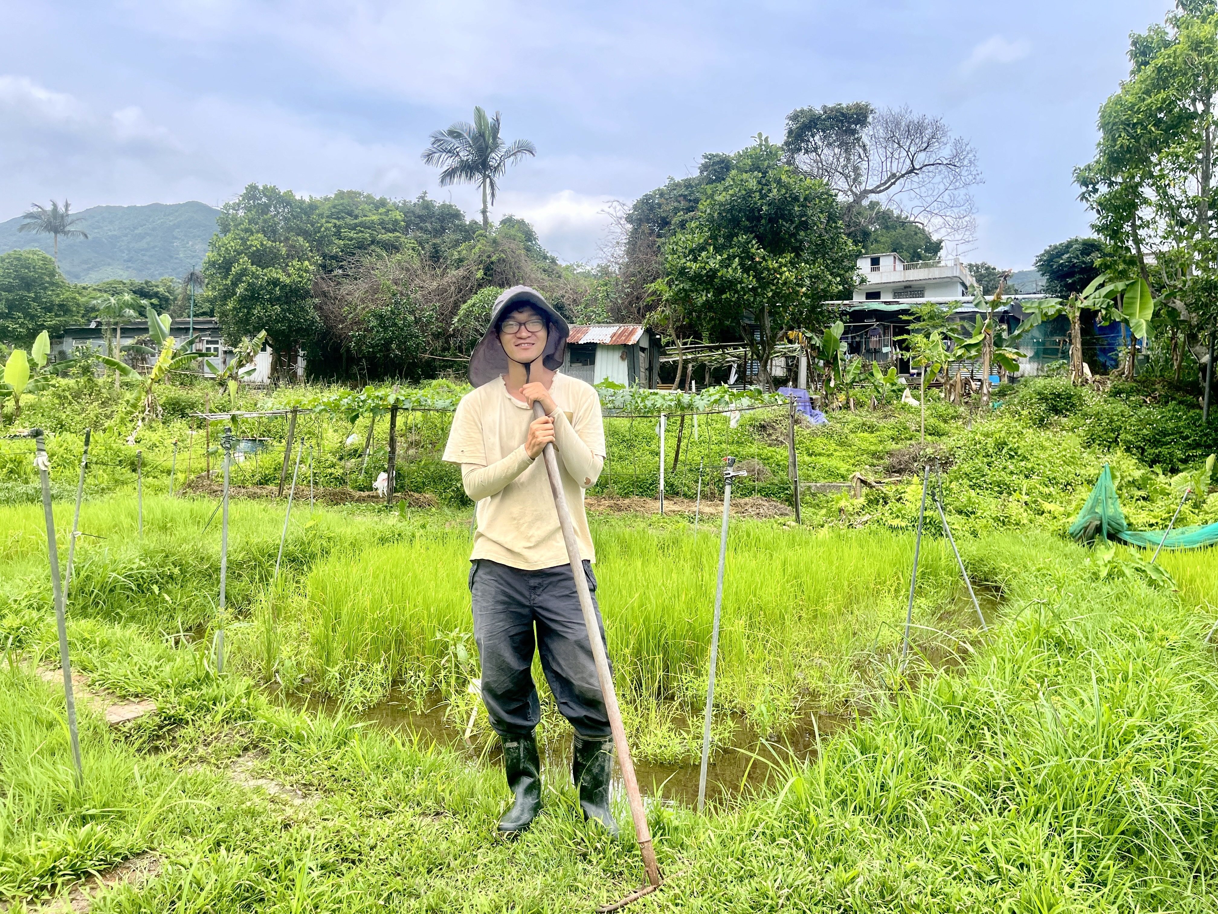 Kwok Yau-wah has been working as a rice farmer for four years. Photo: Kelly Fung