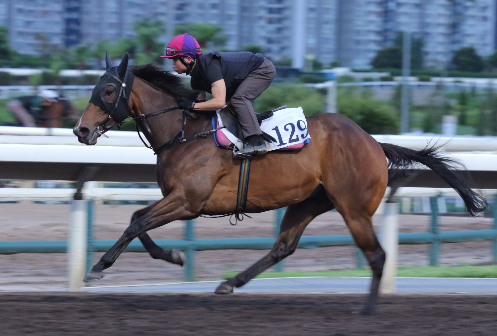 Dylan Mo and Winning Wing gallop on the all-weather track at Sha Tin.