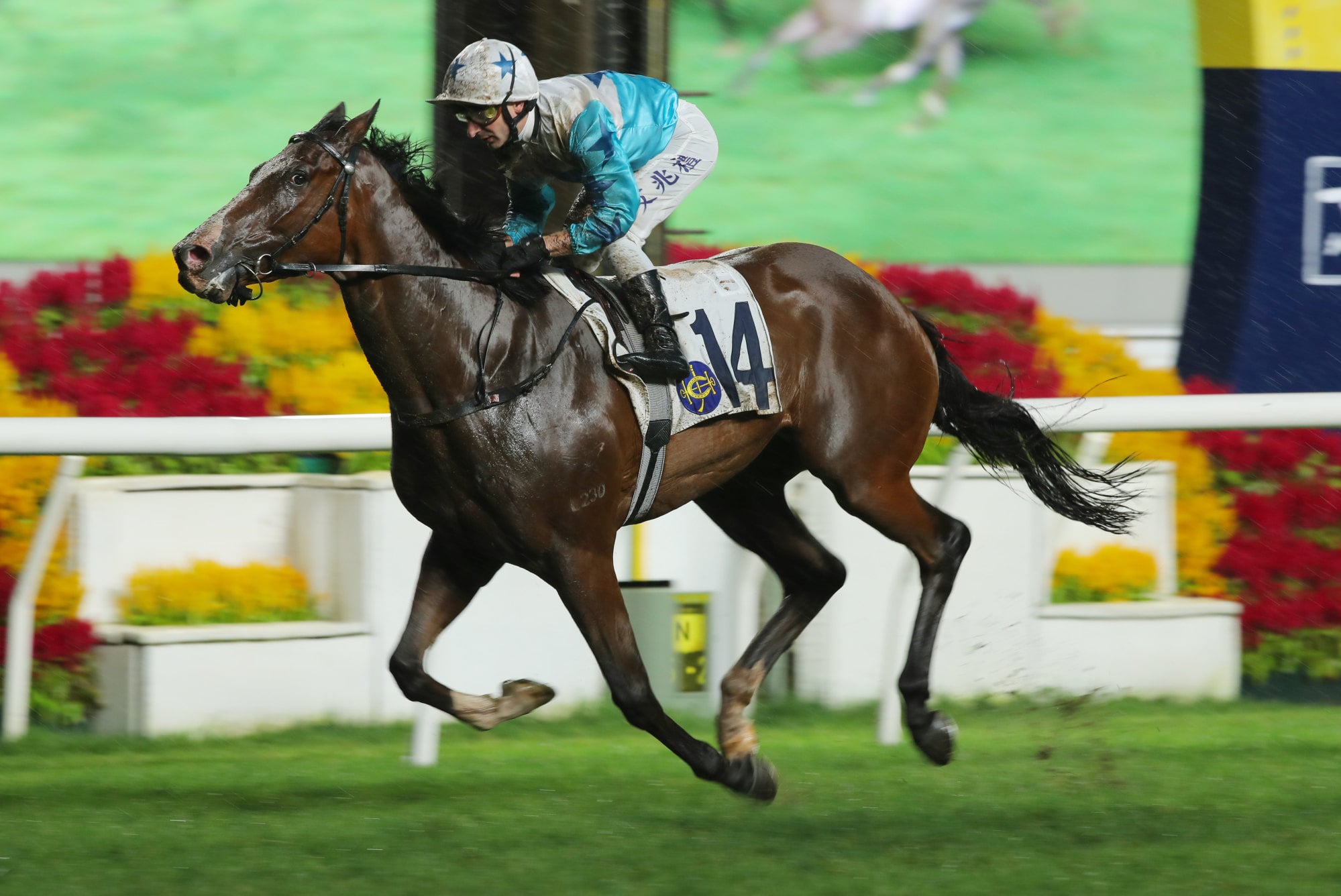 Andrea Atzeni boots home Baby Sakura.