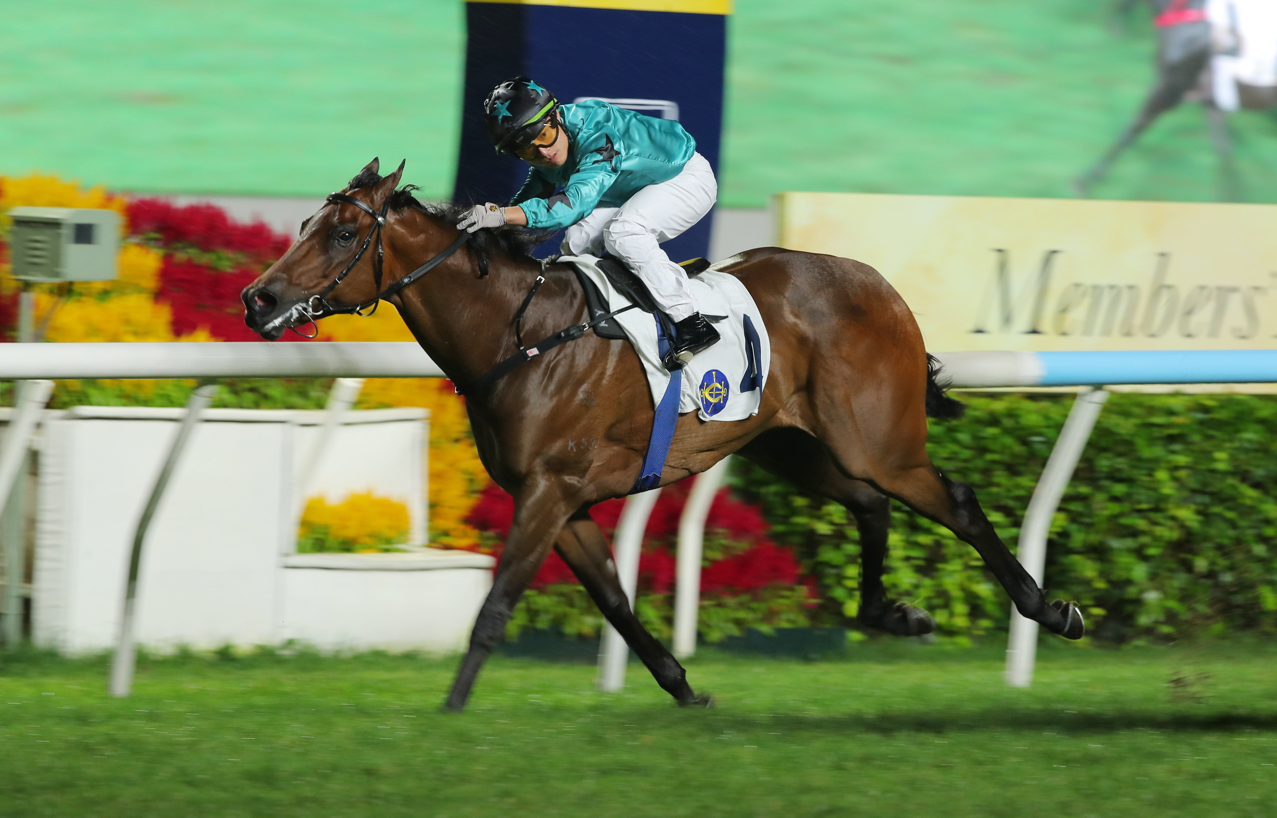 Turquoise Velocity wins narrowly under Keith Yeung. Photos: Kenneth Chan