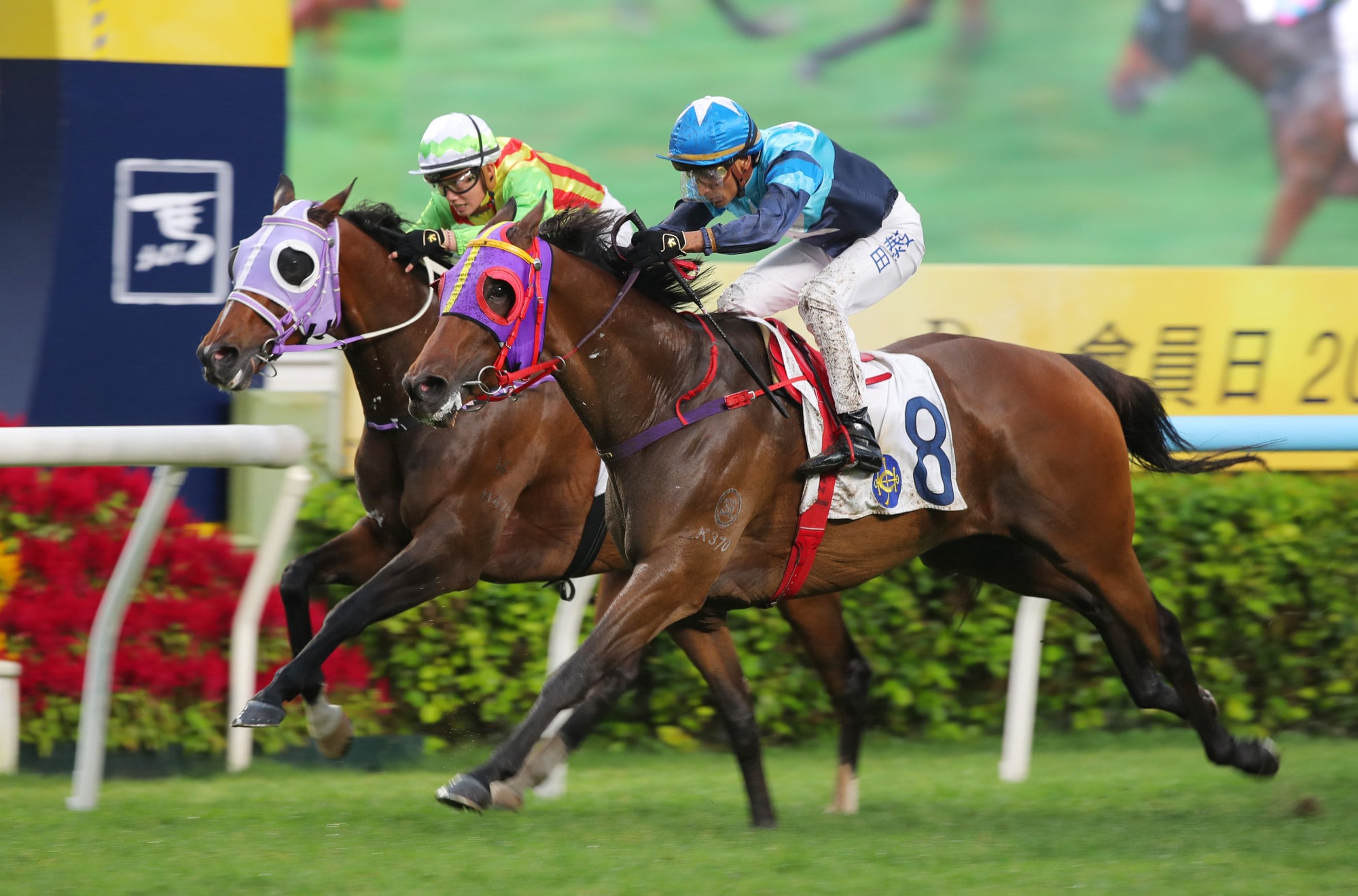 Karis Teetan lifts Flying Knight (outside) to victory.