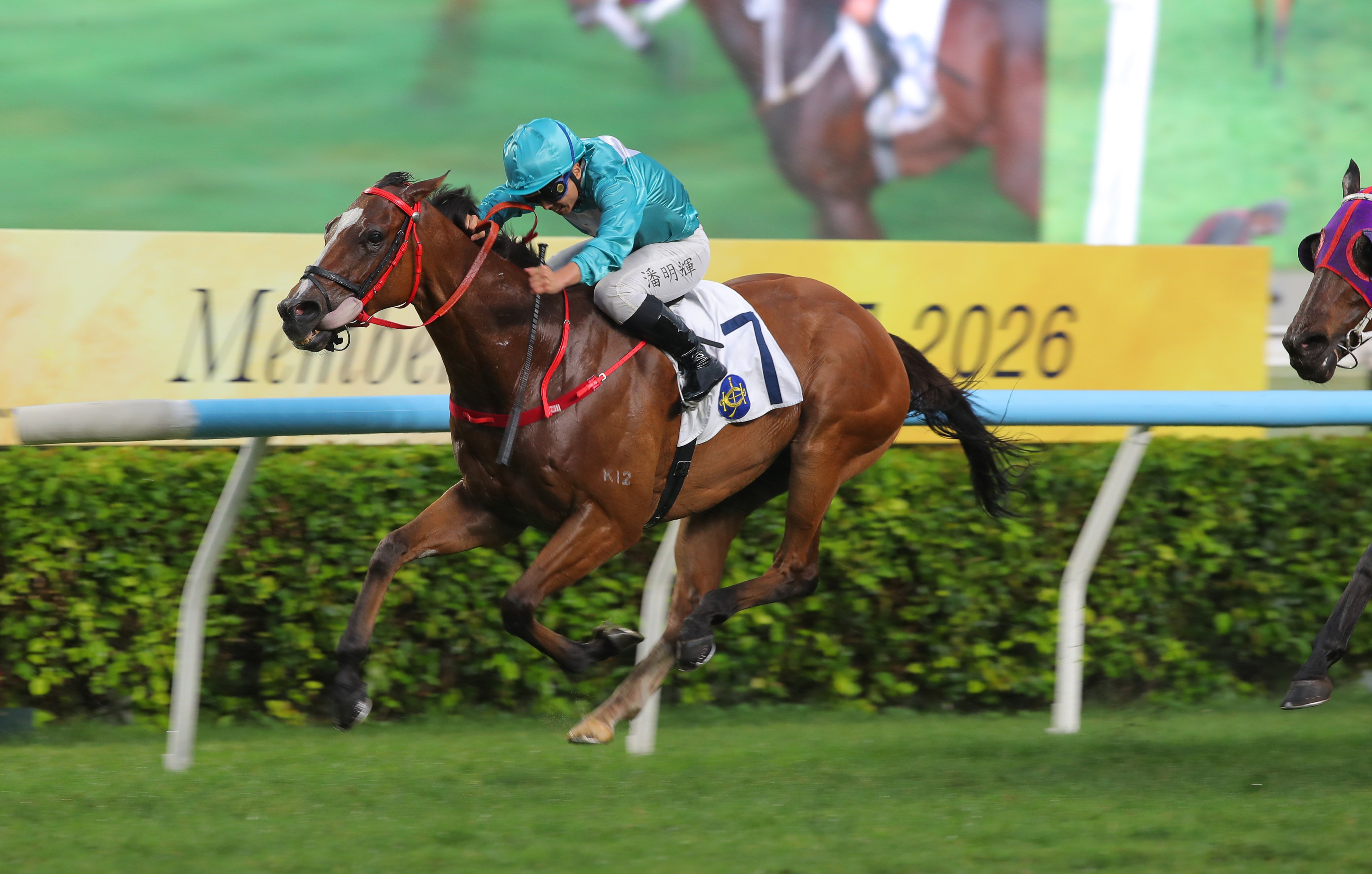 Romantic Thor, ridden by Matthew Poon, wins the Group Three Queen Mother Memorial Cup (2,400m). Photos: Kenneth Chan