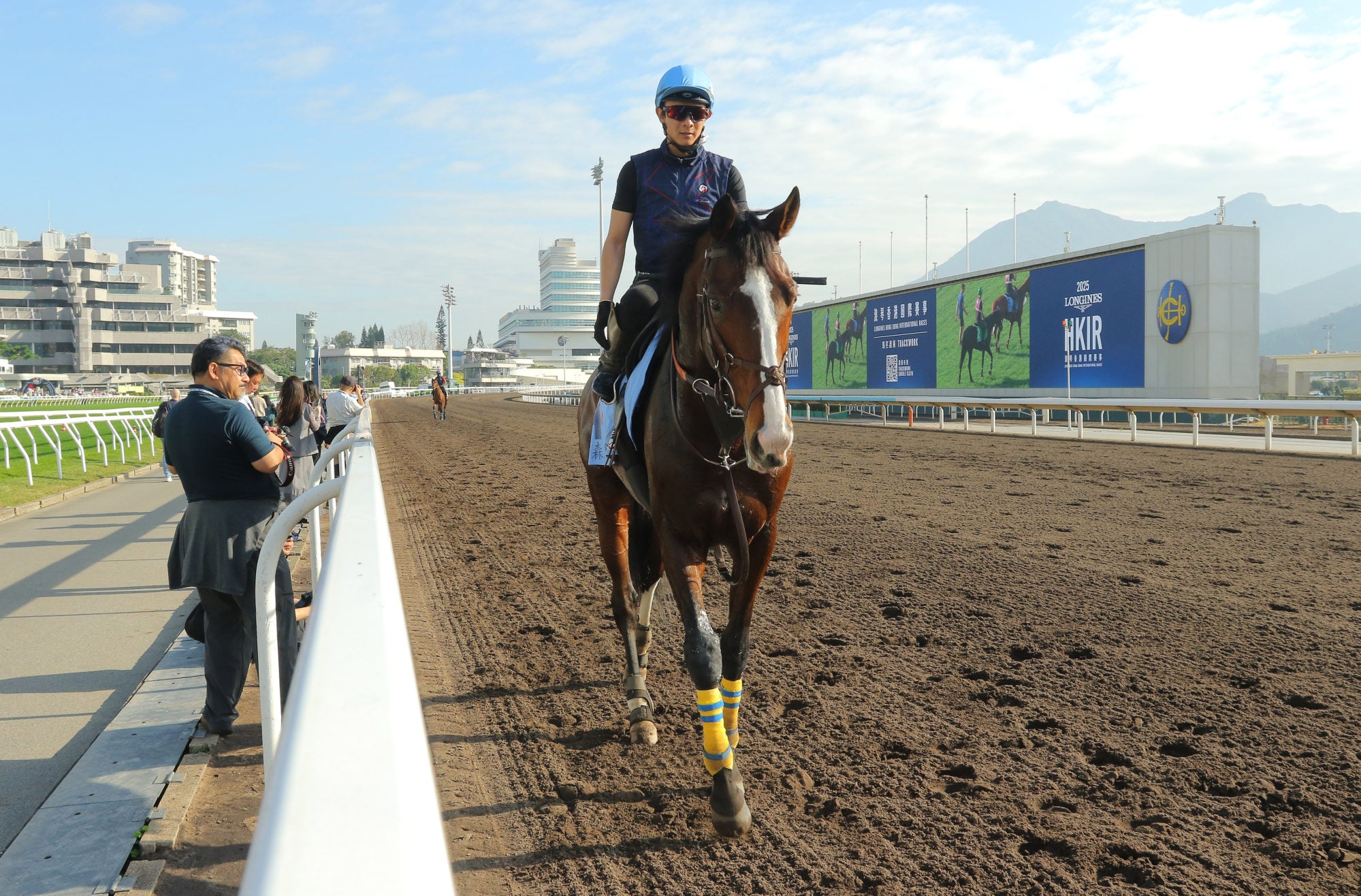 Rousham Park at Sha Tin trackwork last December.