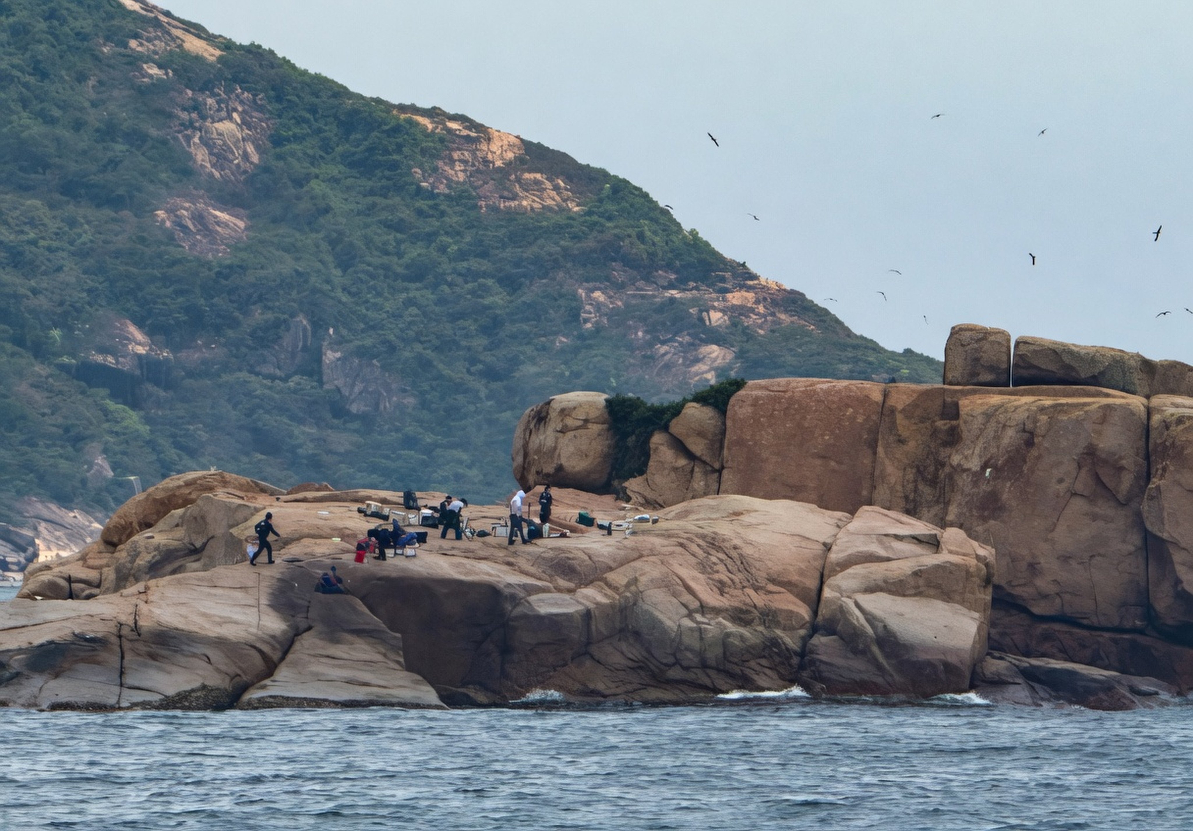Green Hope Hong Kong says visitors had landed on an island in southern Hong Kong waters known as a breeding ground for a bird species. Photo: Handout