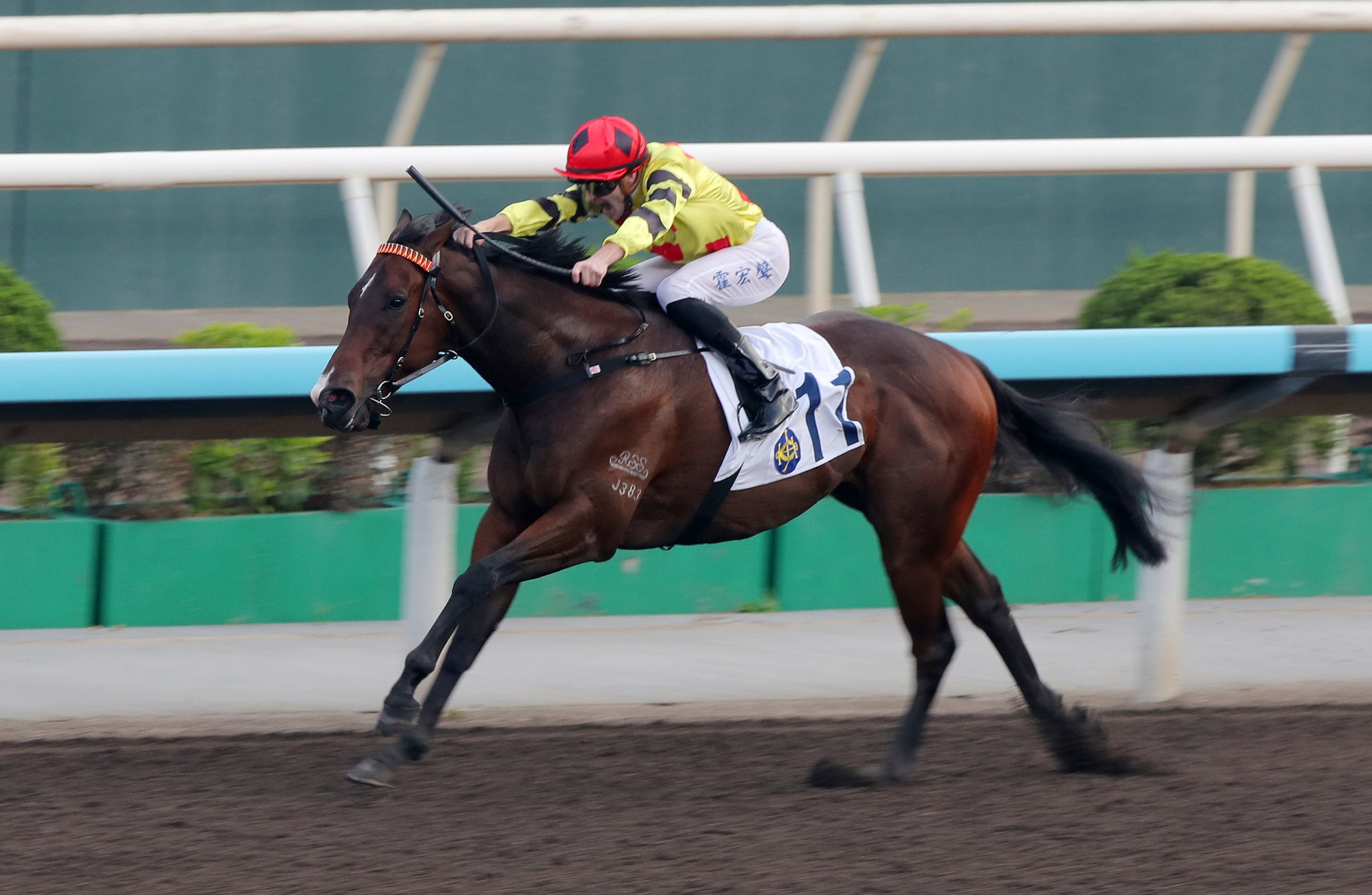 Nothesillyone and Luke Ferraris scored for Sha Tin.