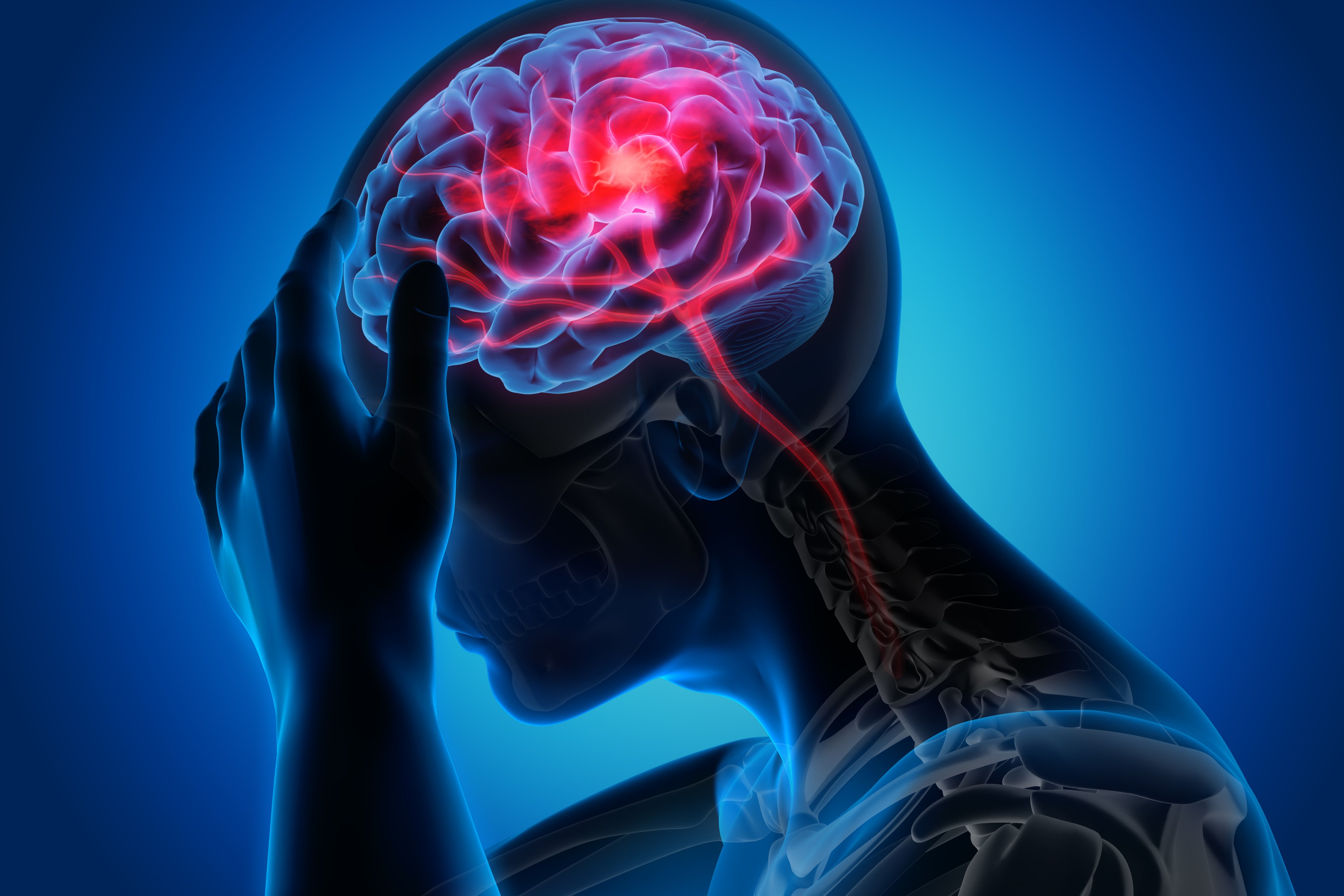 A South Korean team has published a new study that could potentially lead to the treatment of stroke and other neurodegenerative diseases. Photo: Shutterstock