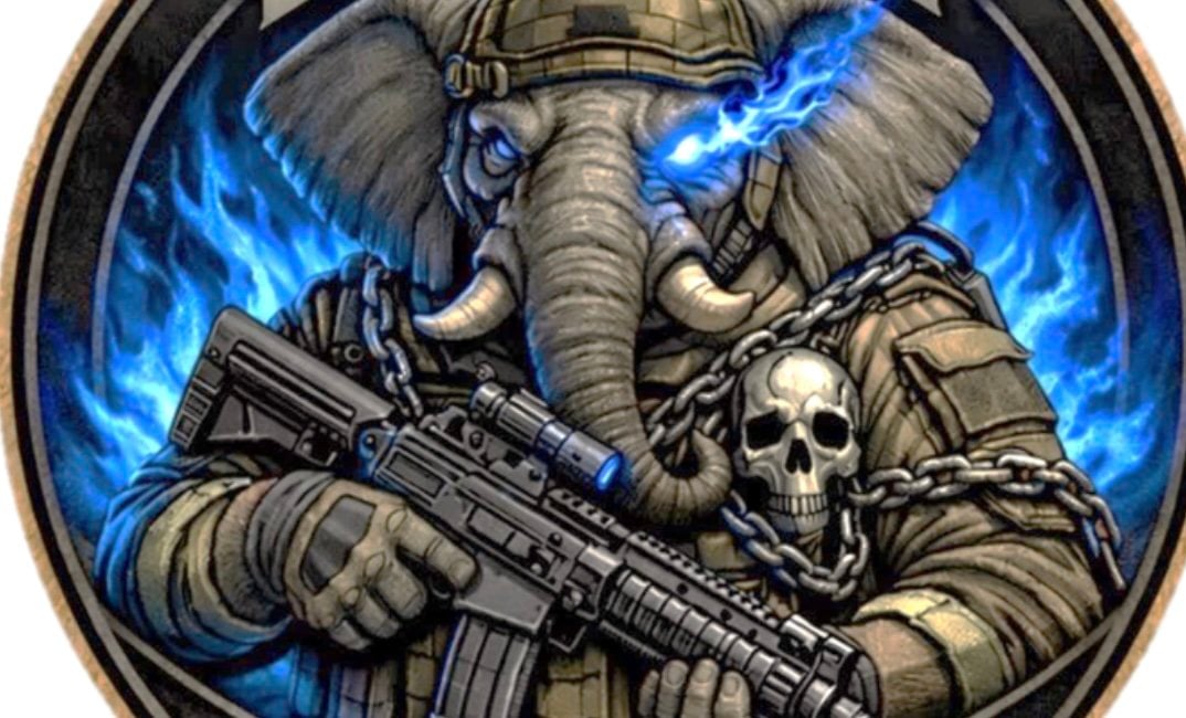 A patch of Japan’s 1st Infantry Regiment was withdrawn after an uproar over its design deemed as out of place with the image of the country’s military. Photo: X