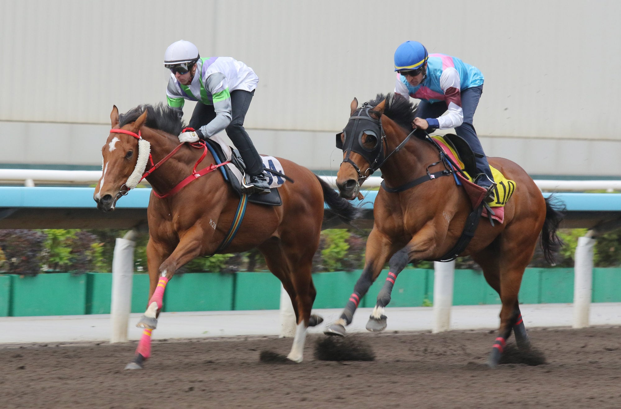Light Years Glory (left) trials at Sha Tin.