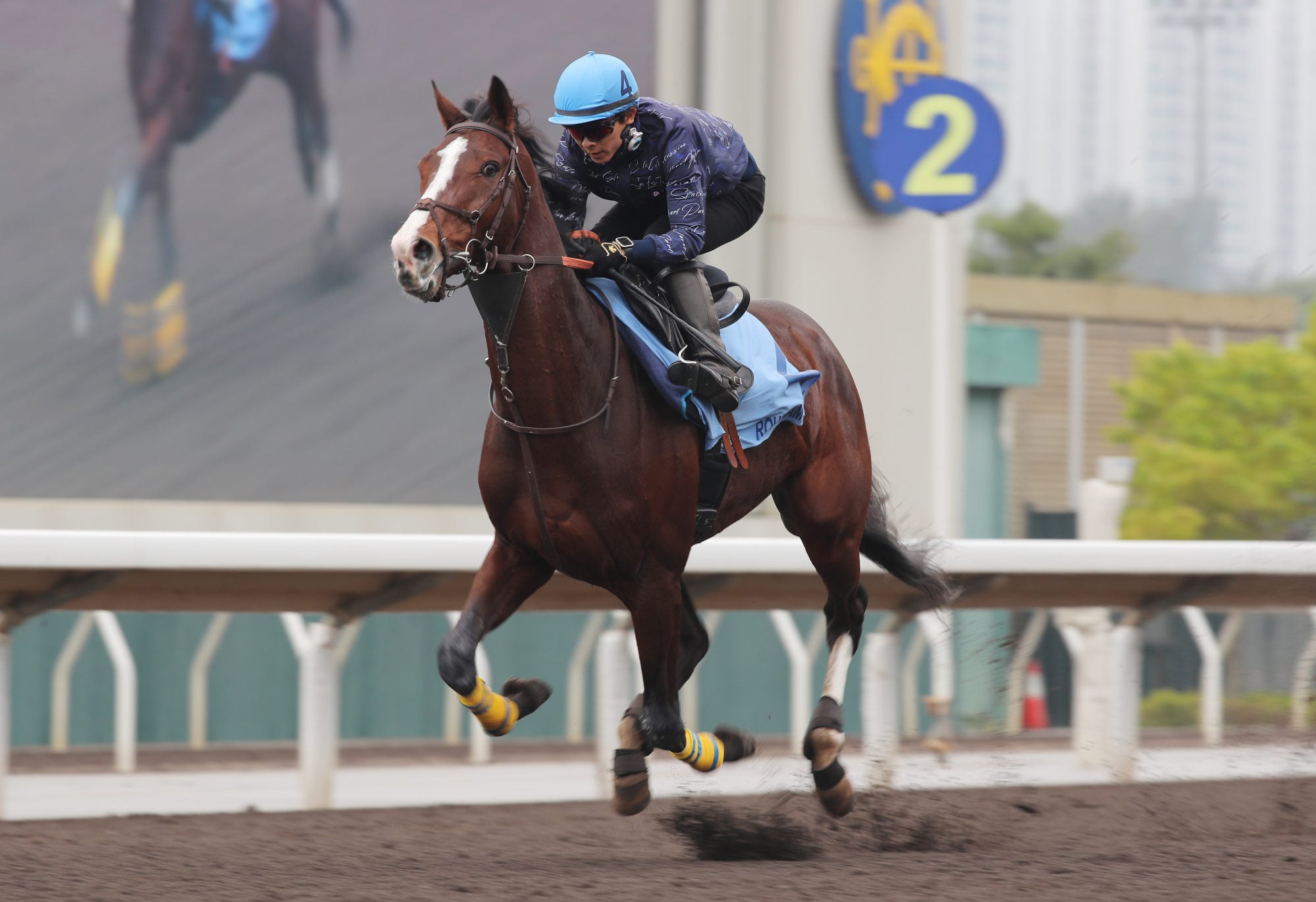 Rousham Park gallops at Sha Tin in December.