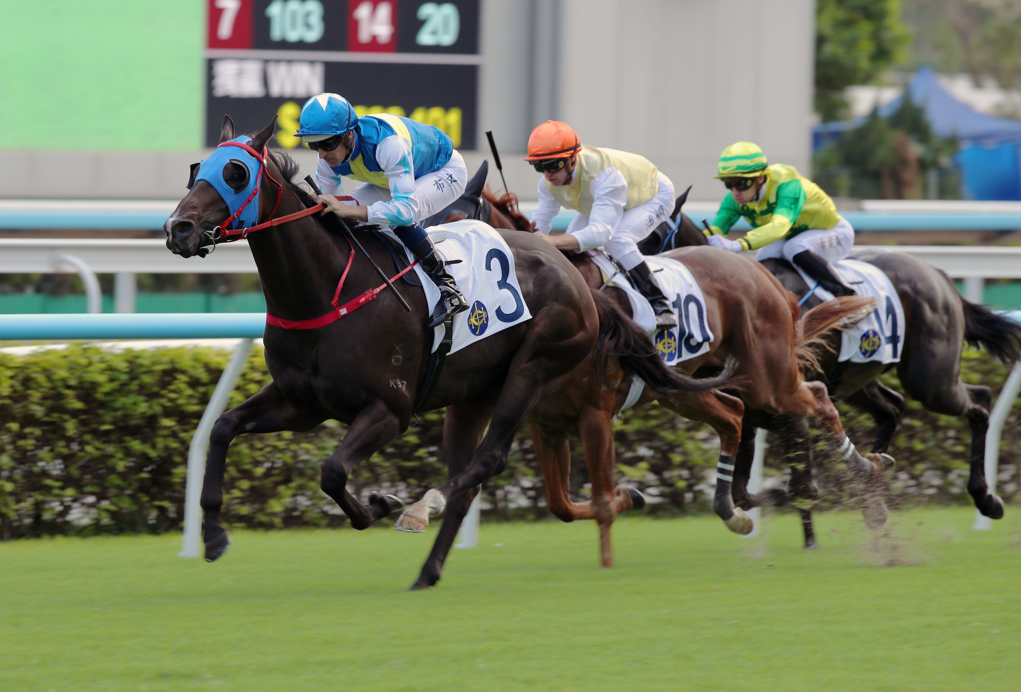 Aurora Patch, ridden by Hugh Bowman, wins at Sha Tin. Photos: Kenneth Chan