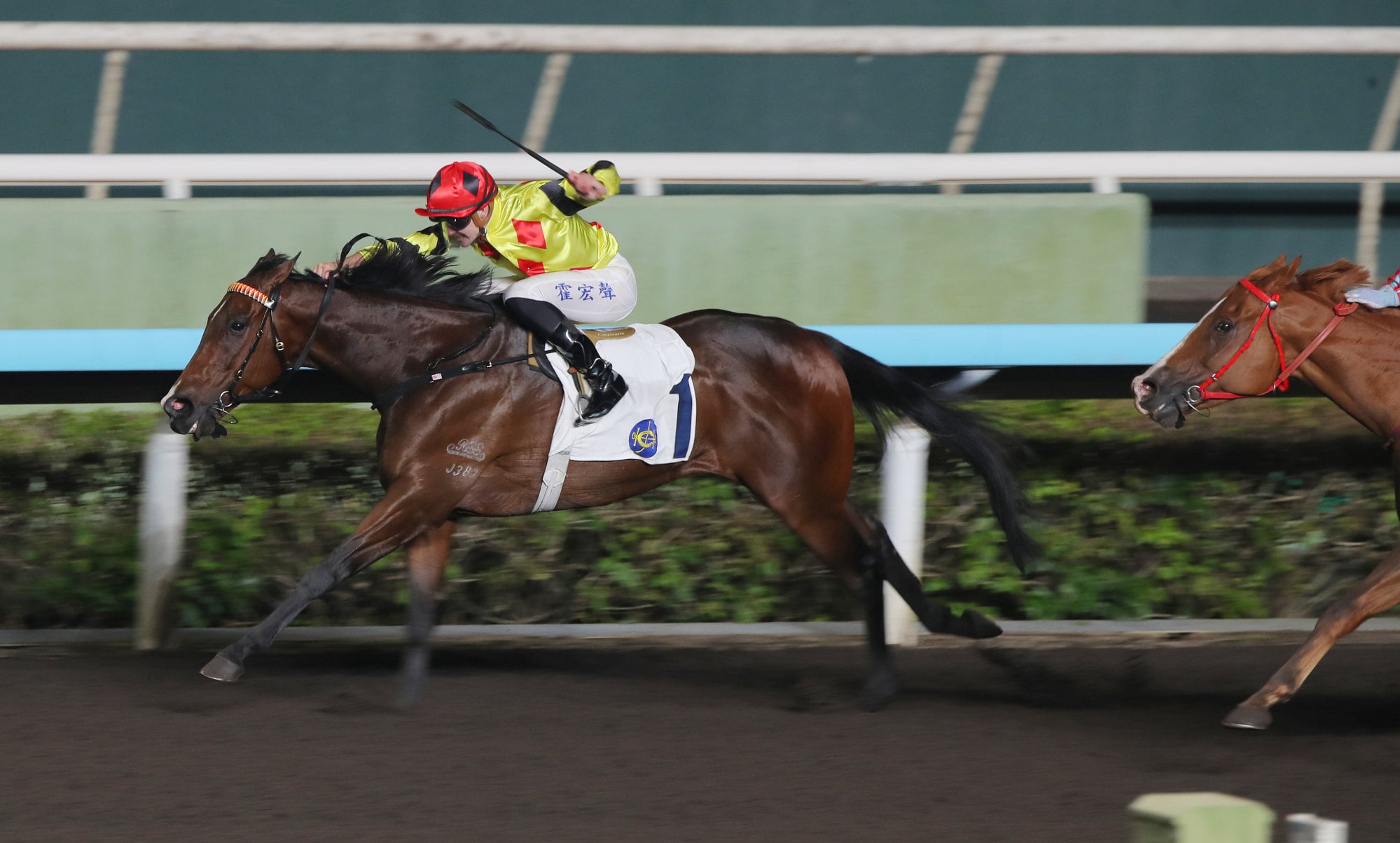 Notthesillyone, ridden by Luke Ferraris, wins at Sha Tin.