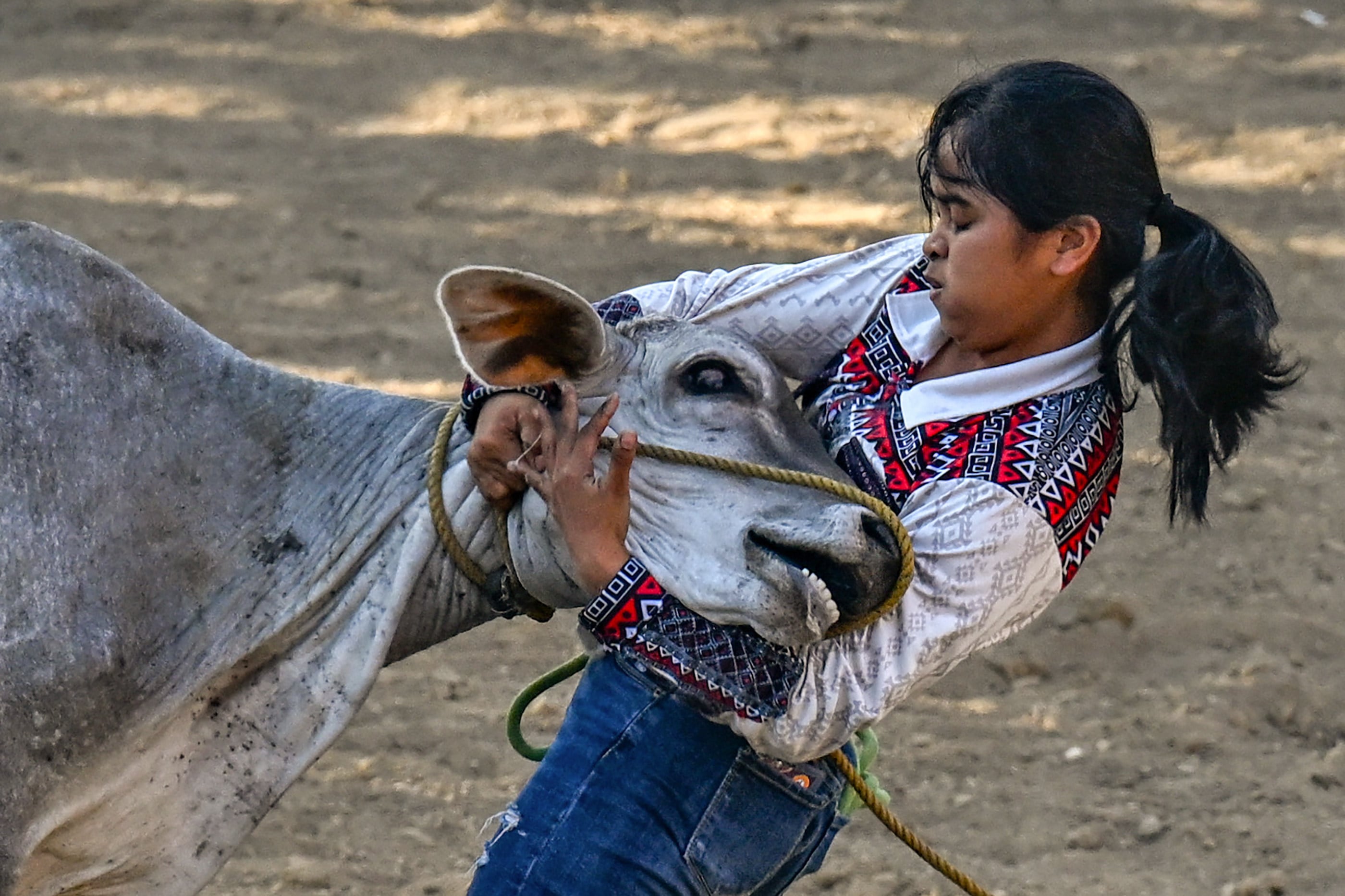 This photo taken on April 13, 2026, shows a participant trying to catch a cow during the Rodeo Festival in the province of Masbate. While larger provinces boast more cattle, the Masbate rodeo -- begun in 1993 in a bid to boost tourism -- has become synonymous with the island province of fewer than one million. (Photo by Jam STA ROSA / AFP) / To go with ‘Philippines-Culture-Sport-Rodeo’ Focus by Chad Williams and Pam Castro