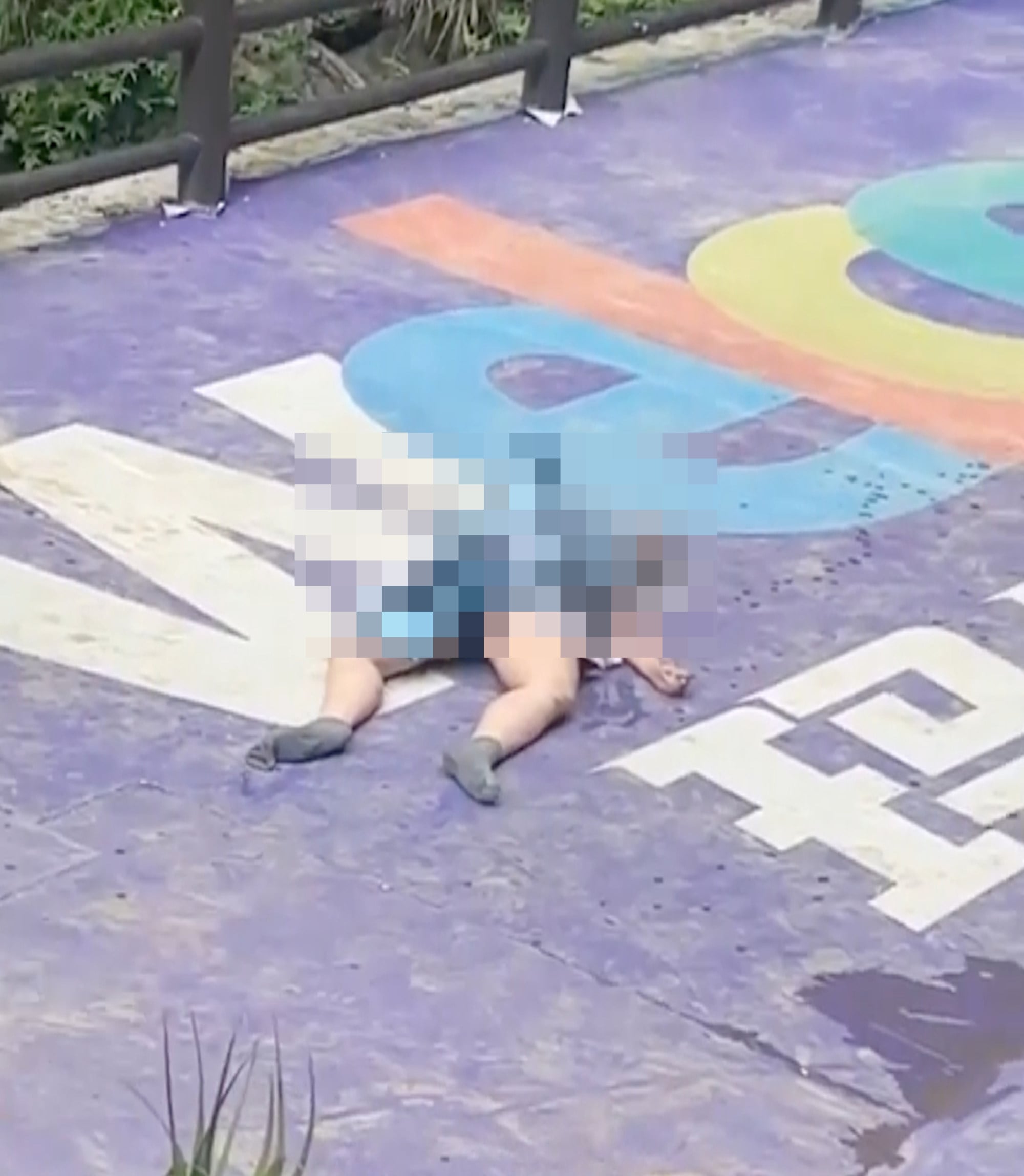 The woman plunged 168 metres before slamming into the concrete beneath her. Photo: Handout