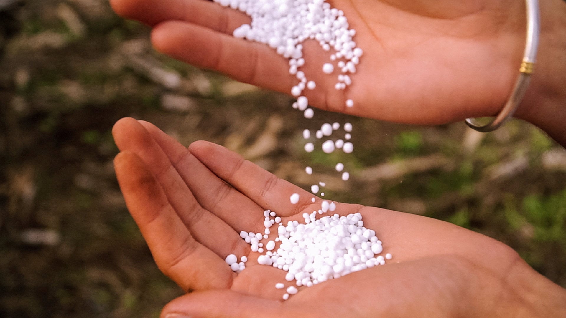 Blockades in the Strait of Hormuz have sent the price of urea – a widely used nitrogen-based fertiliser – soaring in the US and Brazil, according to the UN’s Food and Agriculture Organization. Photo: Handout via Reuters