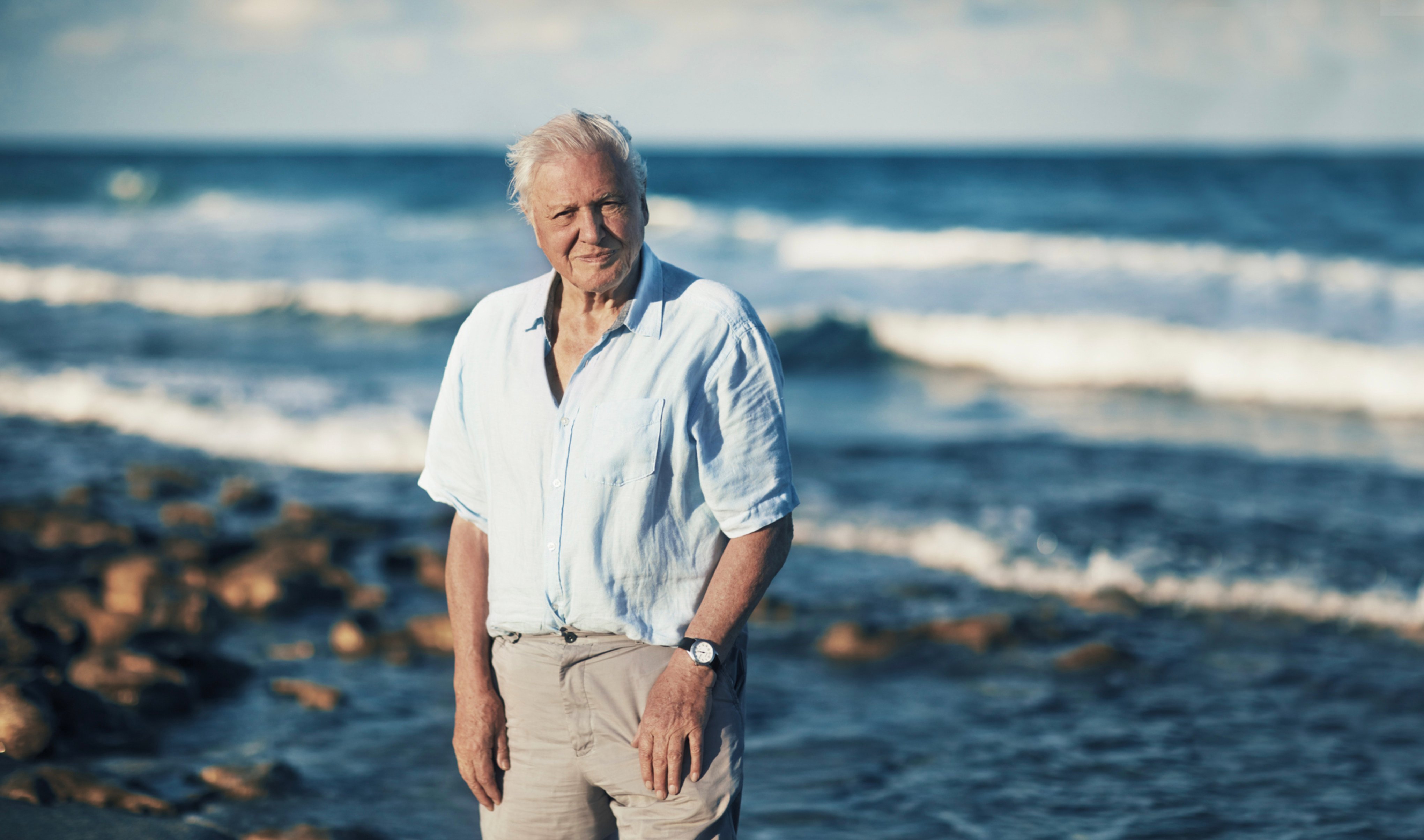 Naturalist David Attenborough’s documentaries have made generations of viewers “care about nature”. Here’s how, ahead of his 100th birthday on May 8. Photo: Blue Planet II