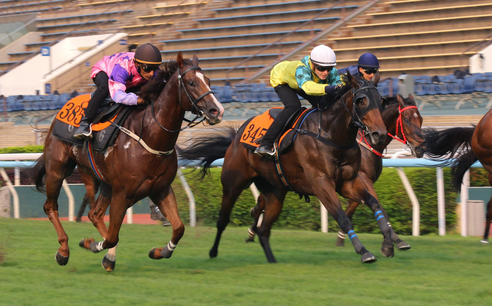 Gaudium Magnum (right) trials at Sha Tin last month.