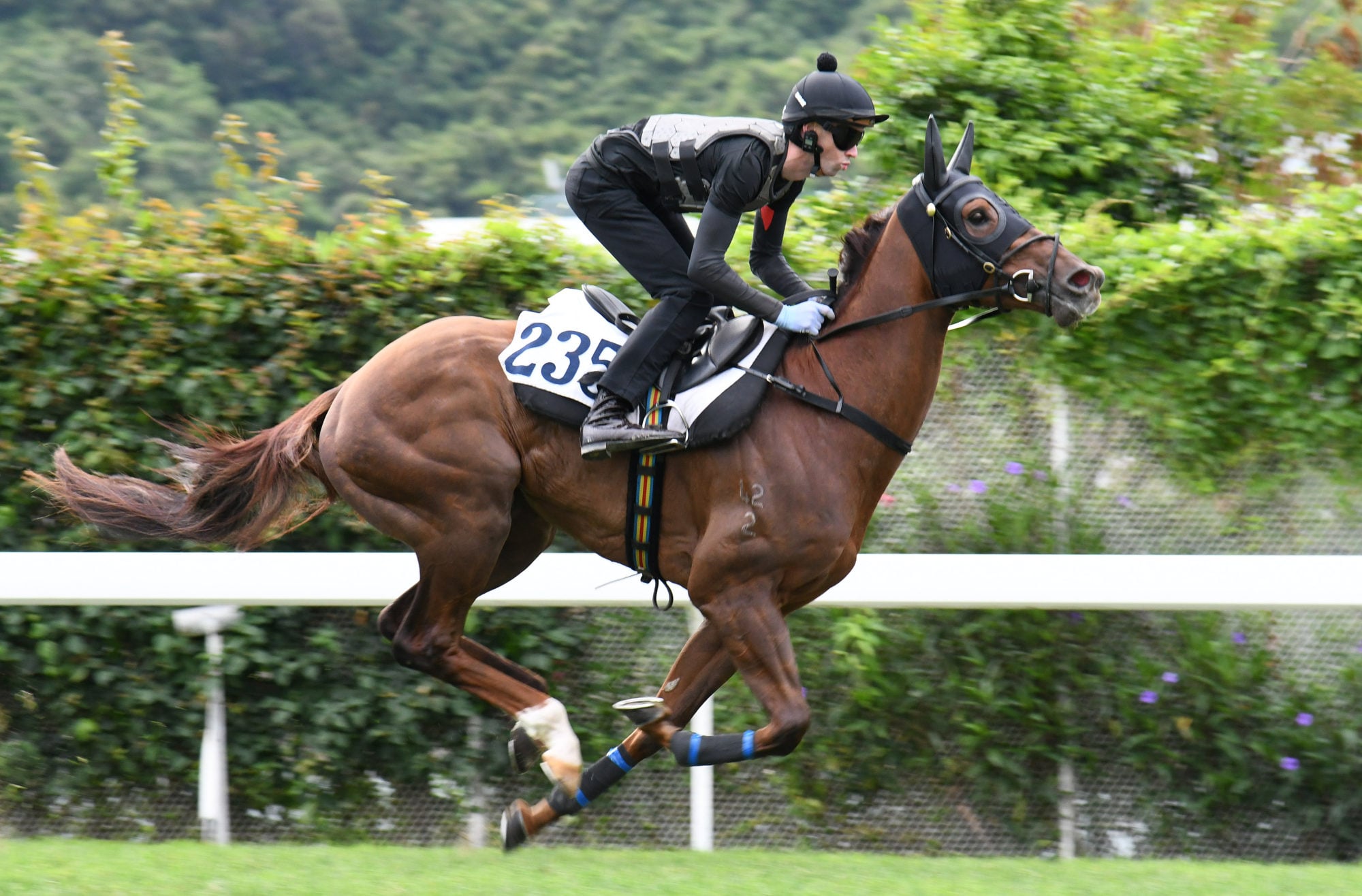 Ever Luck gallops on the Sha Tin turf under James Orman.