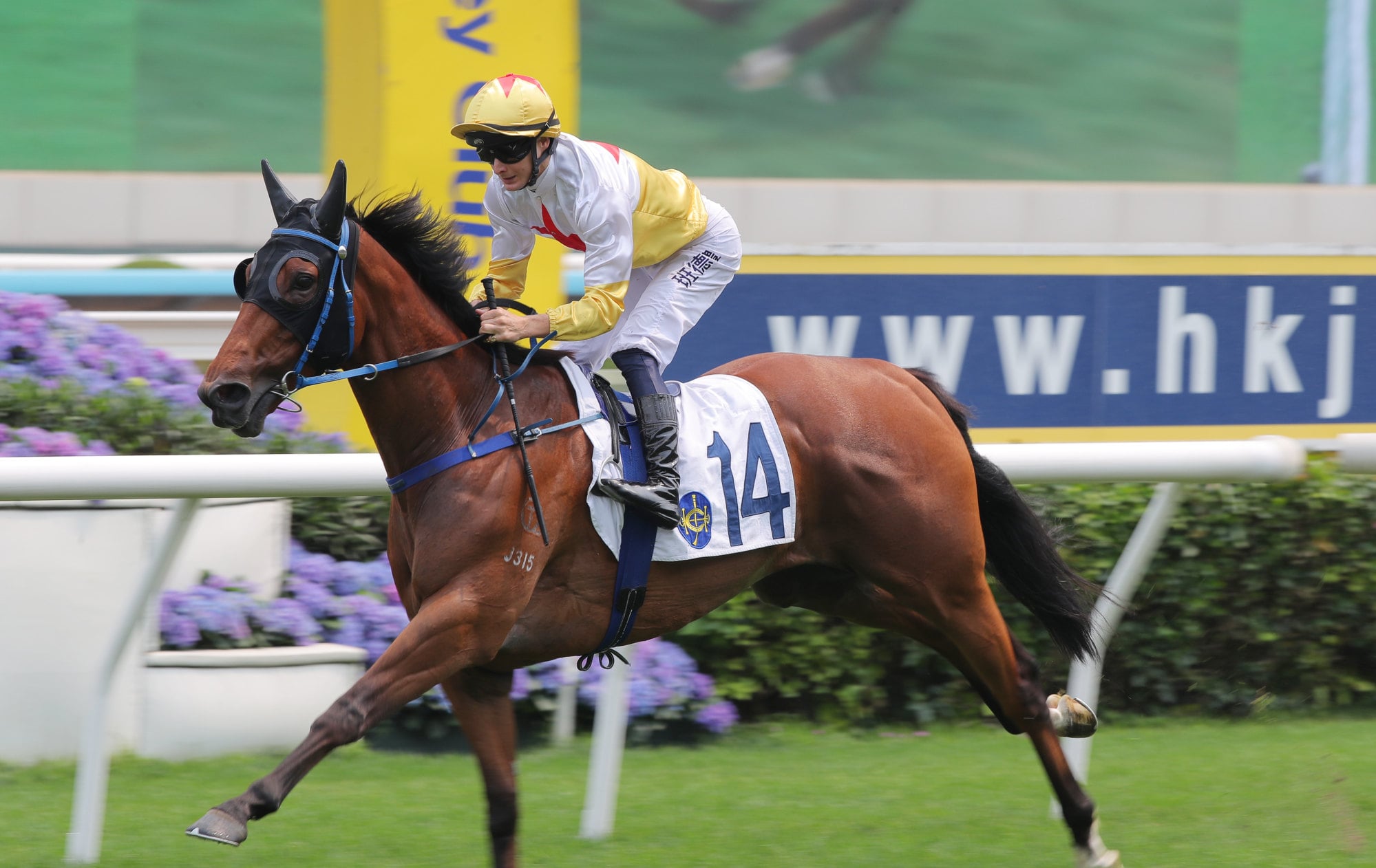 Lucky Man cruises to victory under Harry Bentley last month.