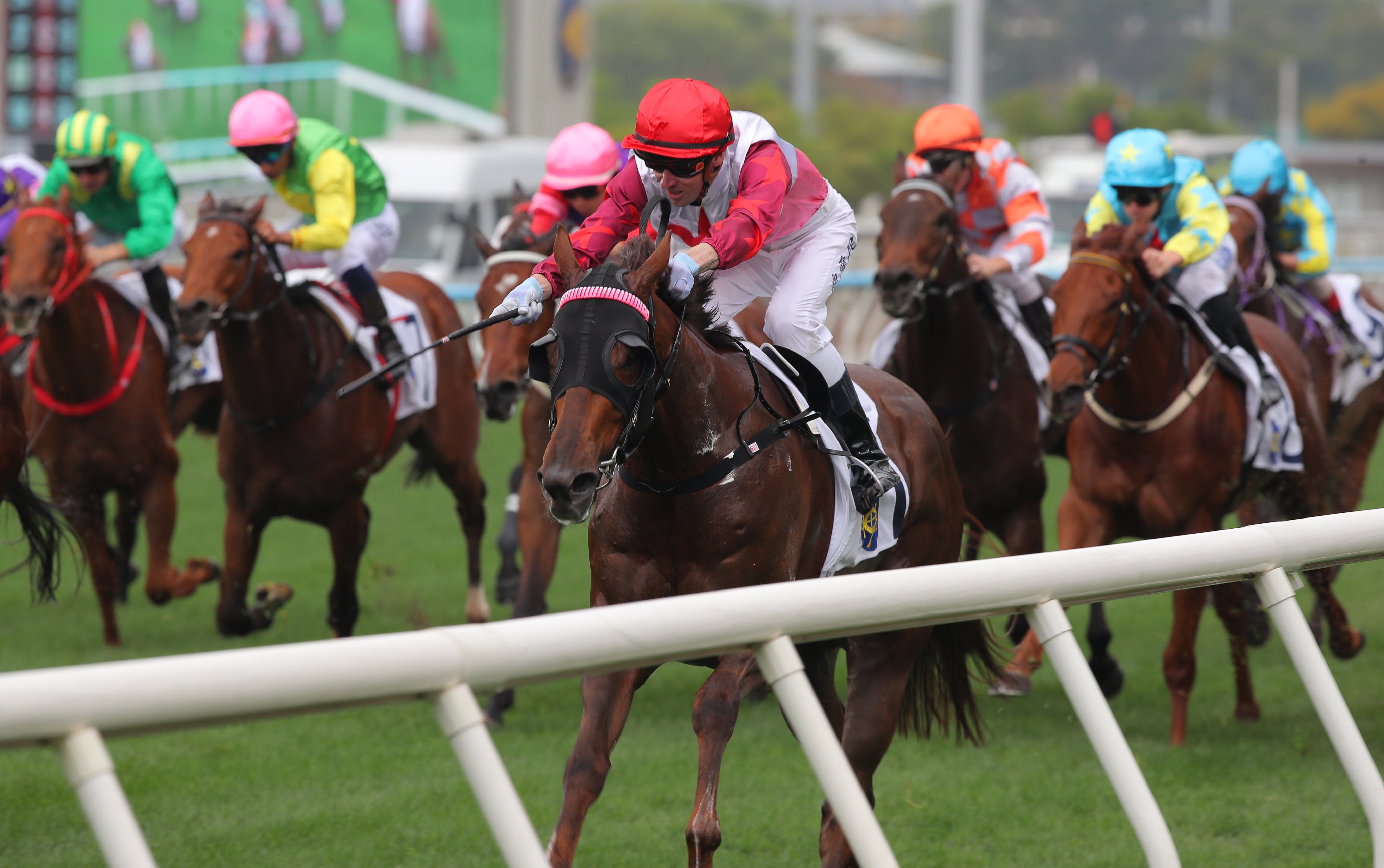 James Orman guides Ever Luck to victory last start. Photos: Kenneth Chan