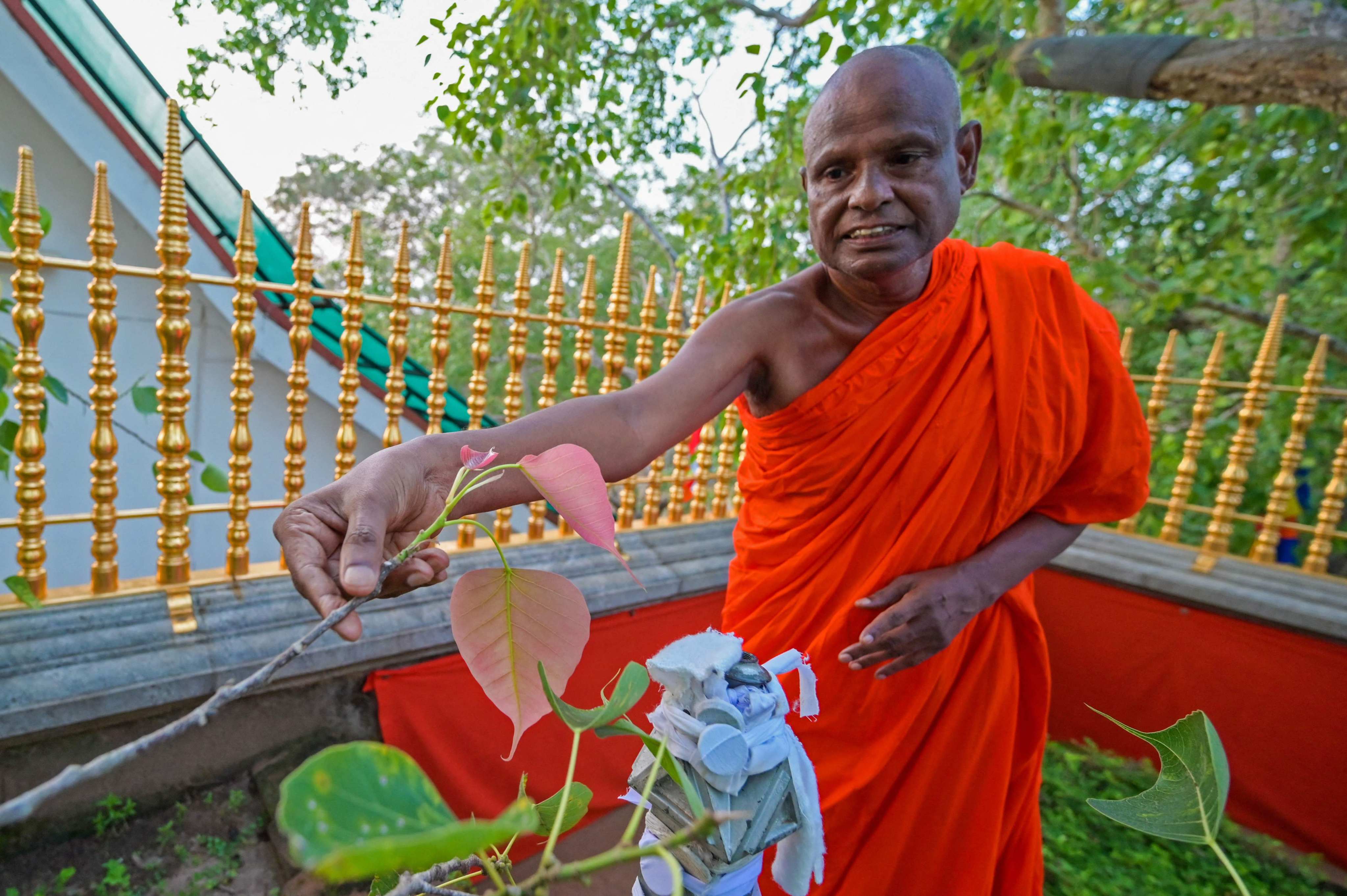 Senior Sri Lankan Buddhist monk Pallegama Hemarathana. File photo: AFP