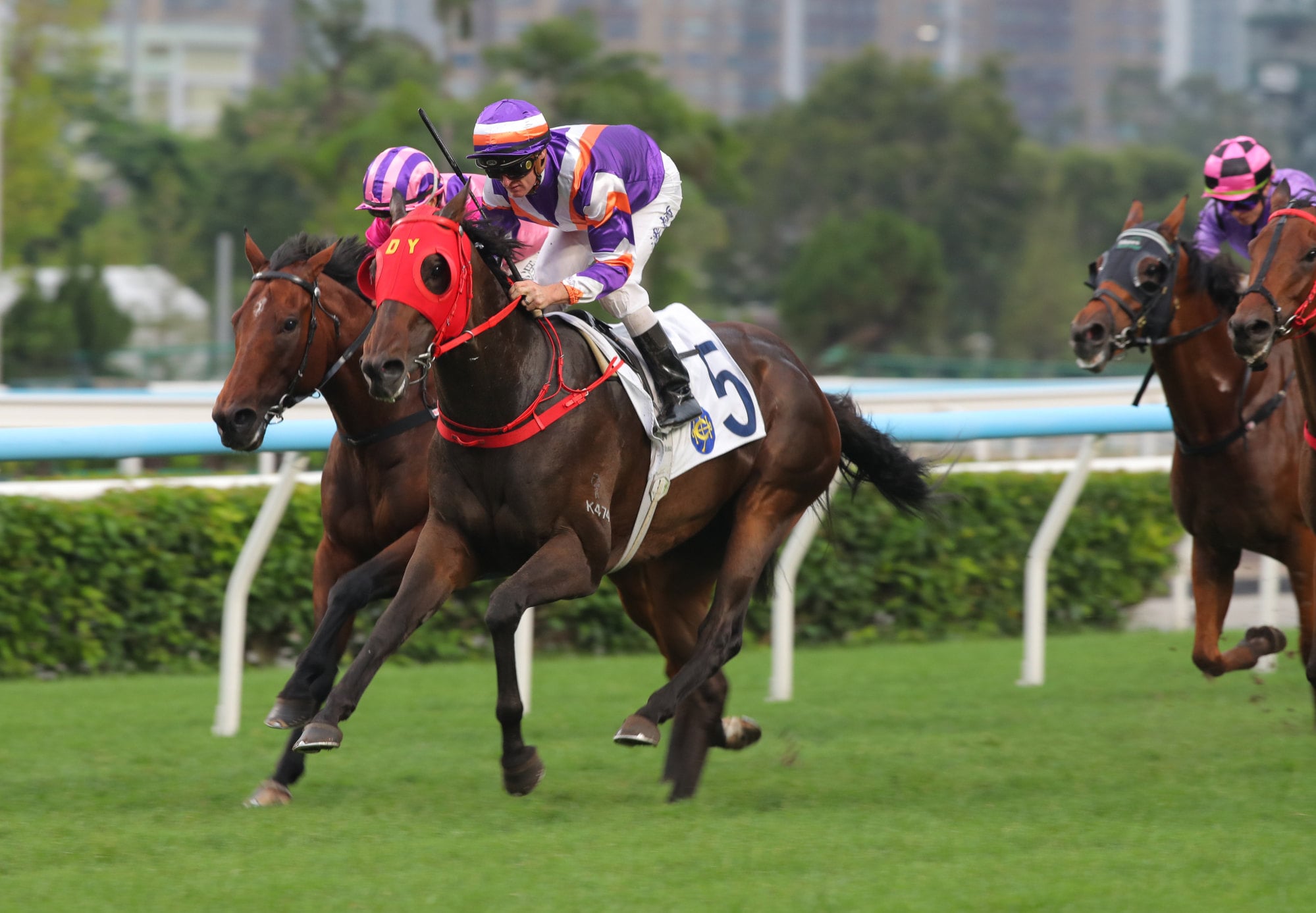 Smart Avenue, ridden by Zac Purton, wins at Sha Tin.