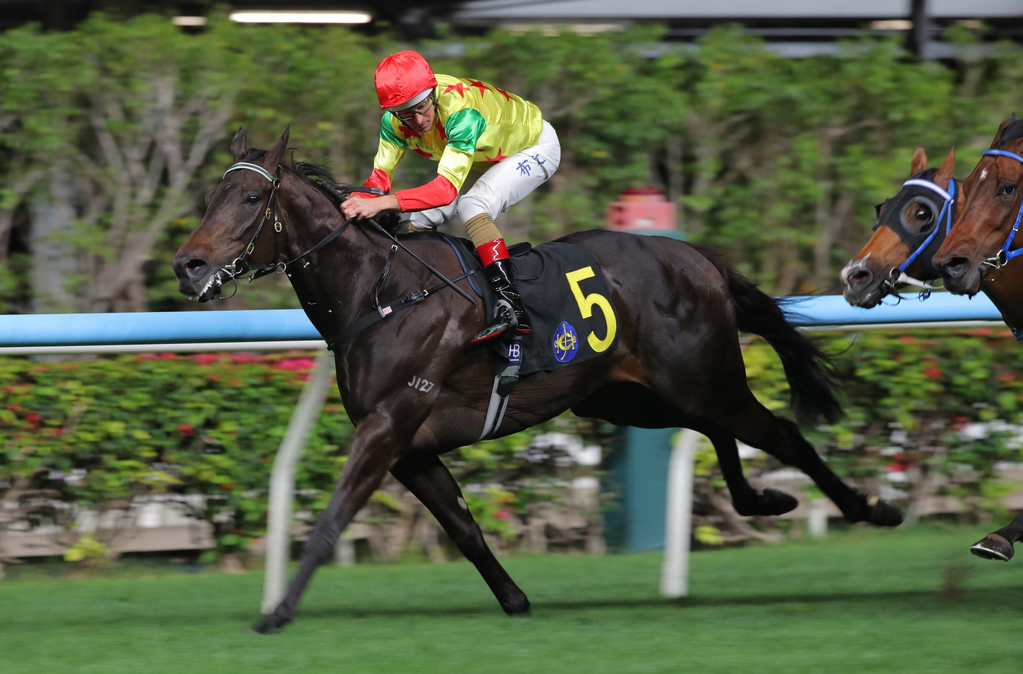 Soleil Fighter wins at Happy Valley in February. Soleil Fighter wins at Happy Valley in February.